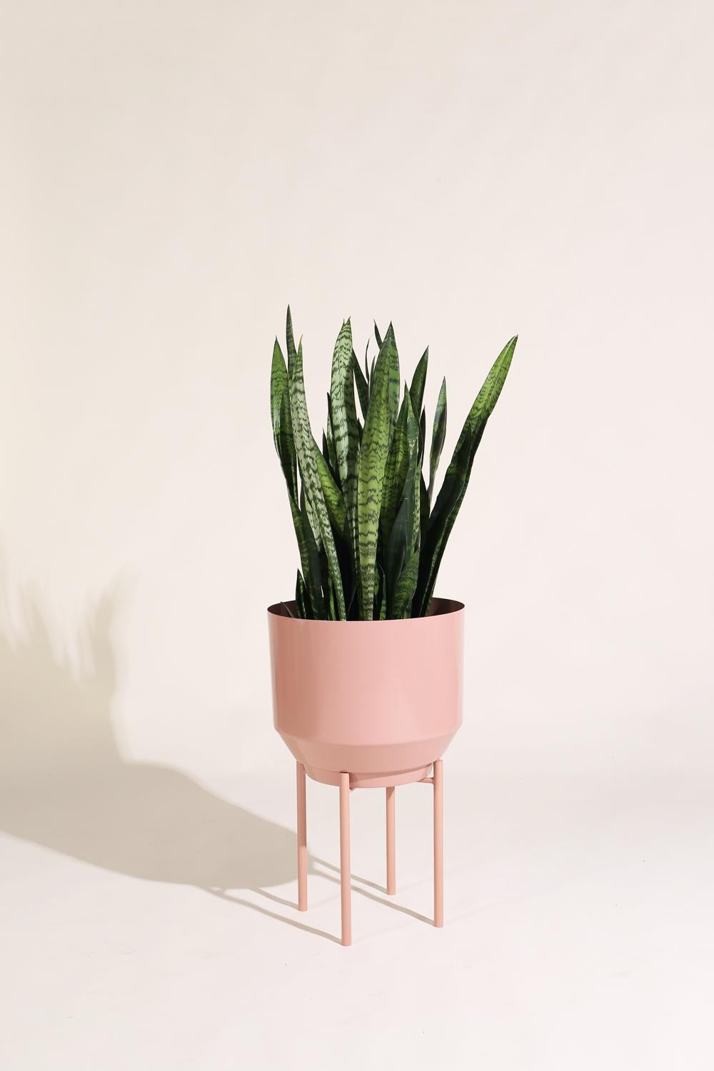 Modern Planter Stand, Peach For Sale