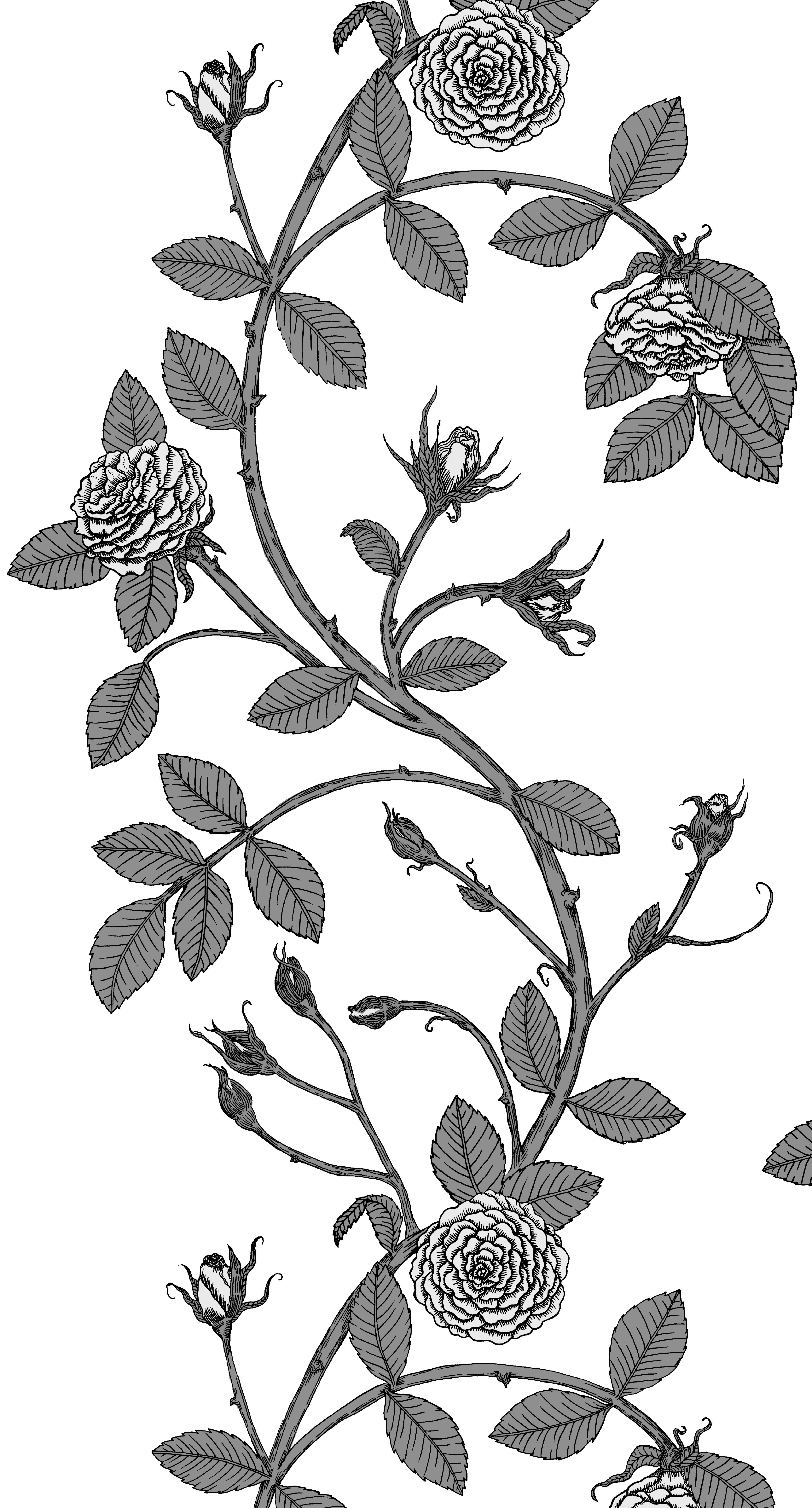 Elva Rose-Floral Print in Color Bella 'Black ground Red Floral' on Smooth Paper For Sale 1