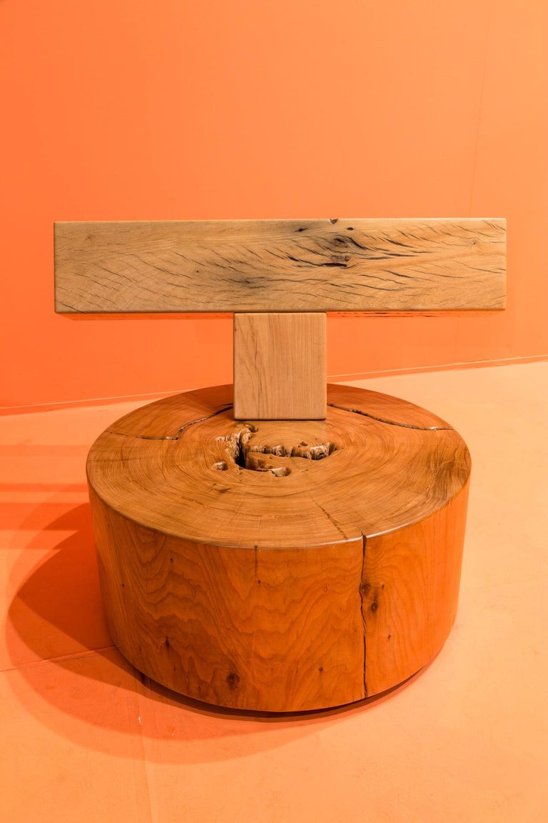Cruz Lounge Chair, Zanini de Zanine, Contemporary Design For Sale 3