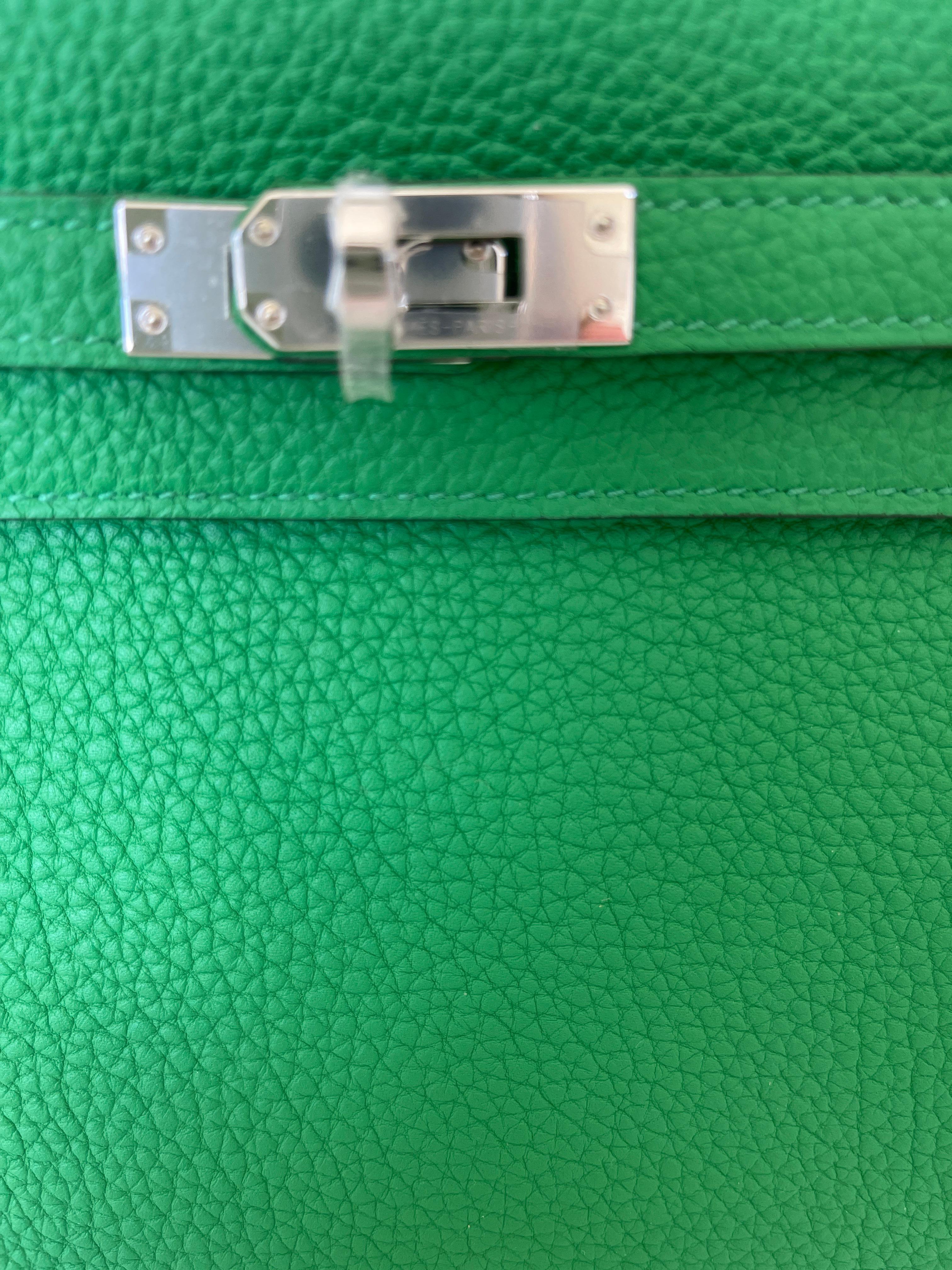 Hermes Kelly 25 Bamboo Bag Togo Palladium 3