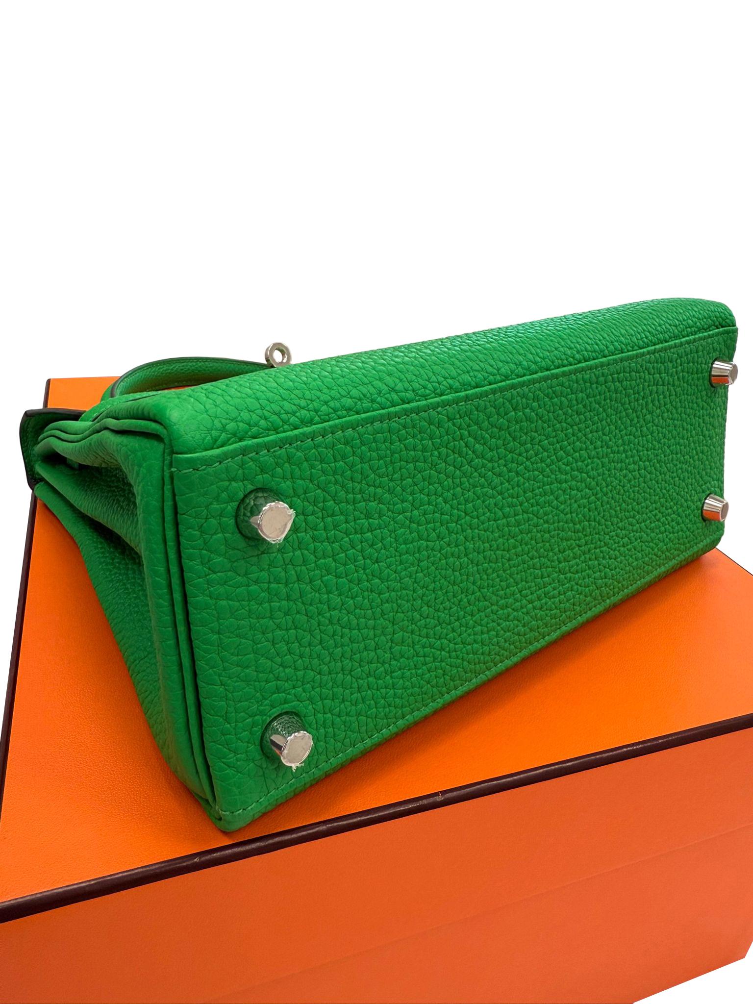 Hermes Kelly 25 Bamboo in pelle di Togo con hardware Palladium in vendita 10