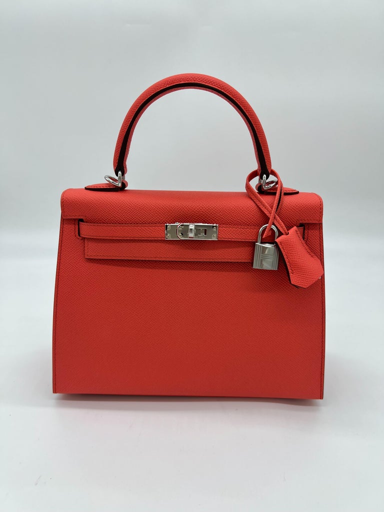 Hermes Birkin 25 Etoupe in Togo Leather Silver Hardware (PHW) Stamp A  (2017) at 1stDibs