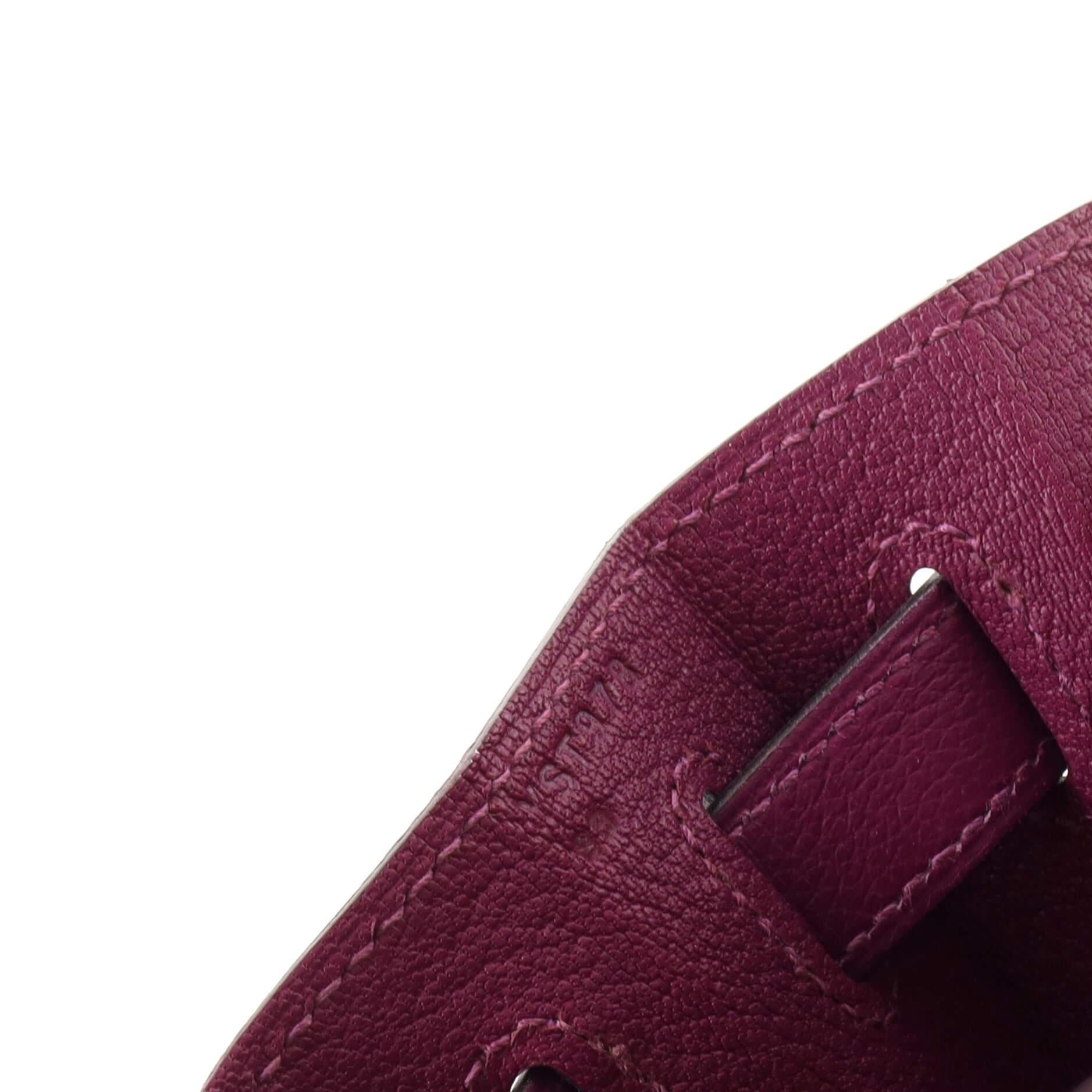 Hermes Kelly Handbag Anemone Evercolor with Palladium Hardware 28 4