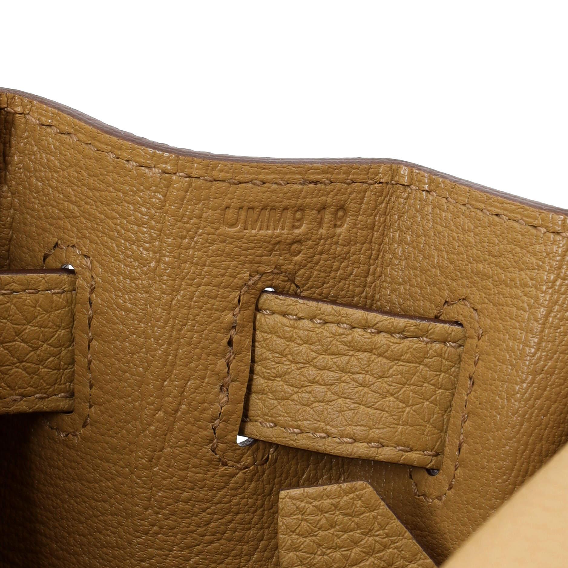 Hermes Kelly Handbag Biscuit Togo with Gold Hardware 28 6
