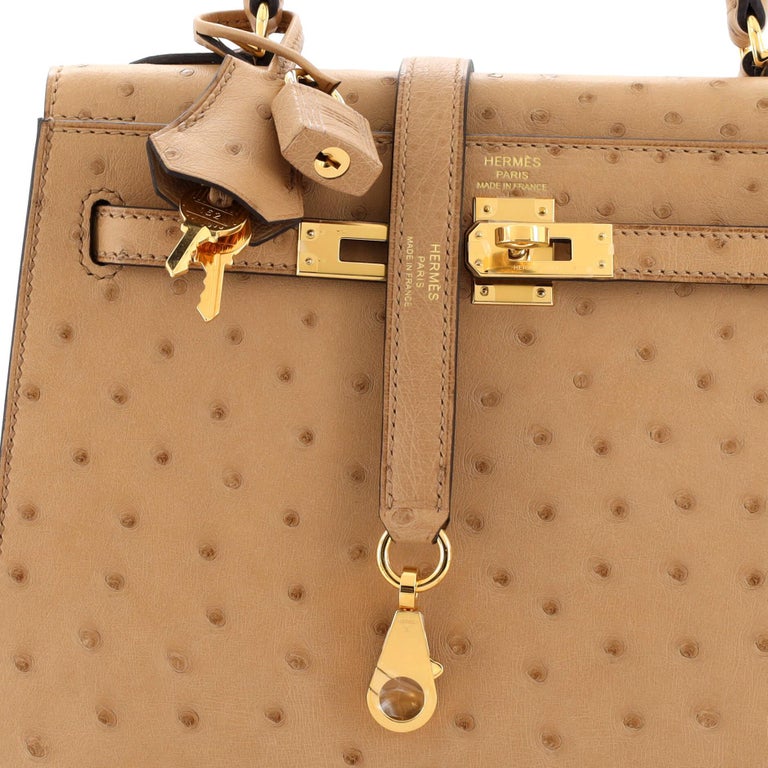 Hermes Kelly Handbag Brown Ostrich with Gold Hardware 25 Neutral