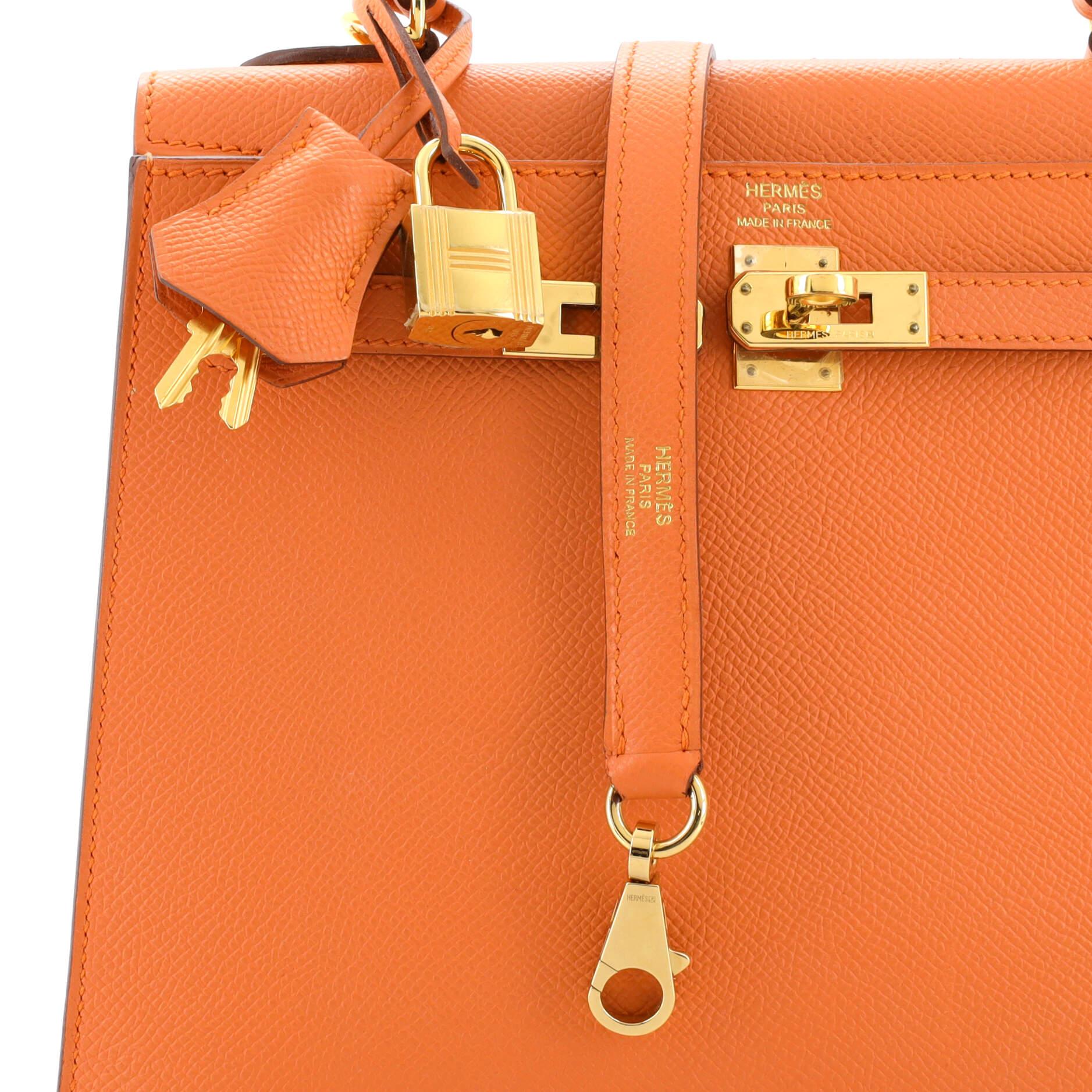 Hermes Kelly Handbag Mangue Epsom with Gold Hardware 25 1