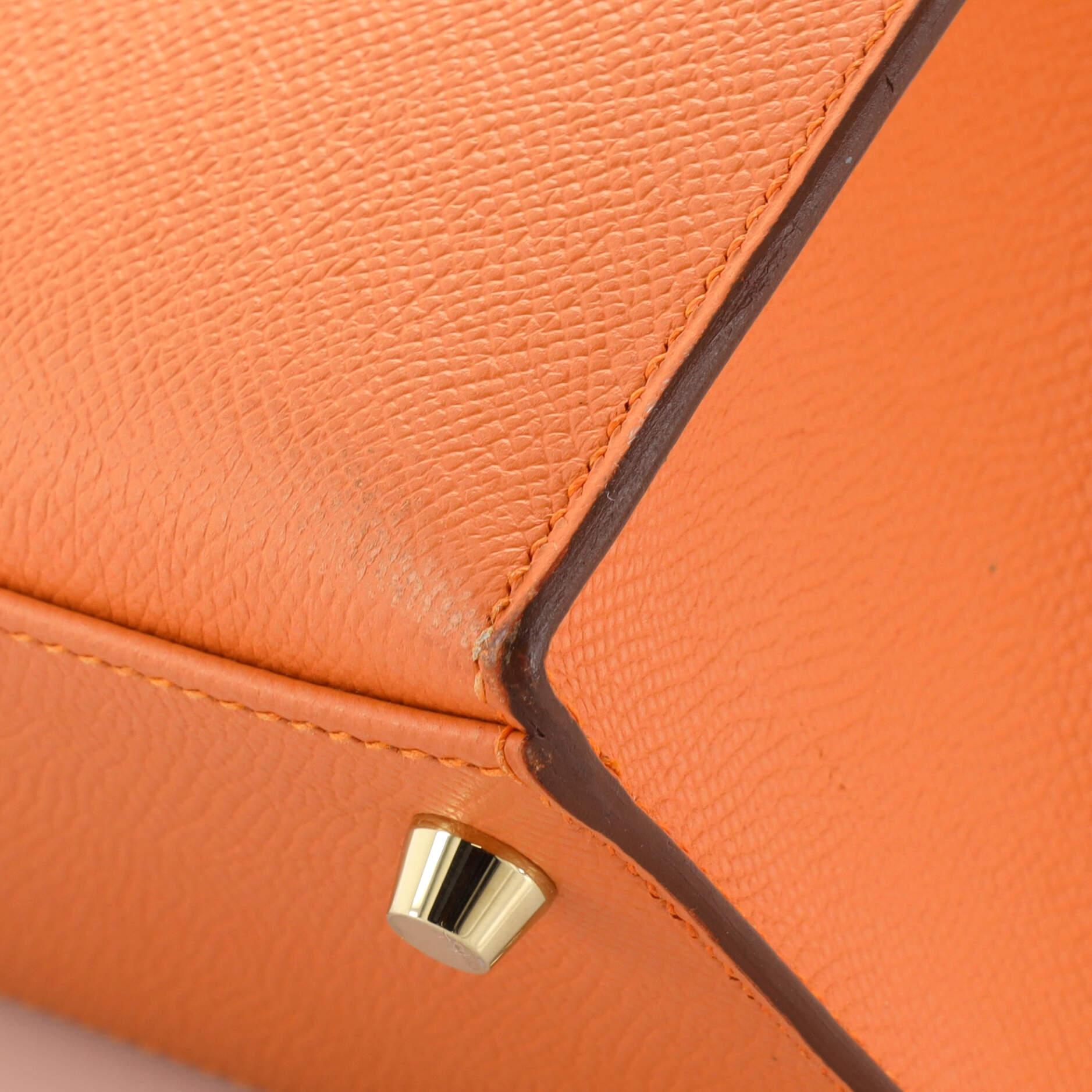 Hermes Kelly Handbag Mangue Epsom with Gold Hardware 25 3