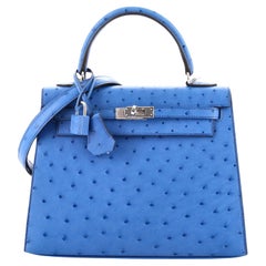 Hermès Ostrich Birkin 25 - Blue Handle Bags, Handbags - HER118425