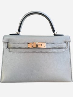 Hermès Kelly Sellier 20 Argent Metallic Silver Chevre Chamkilight Palladium