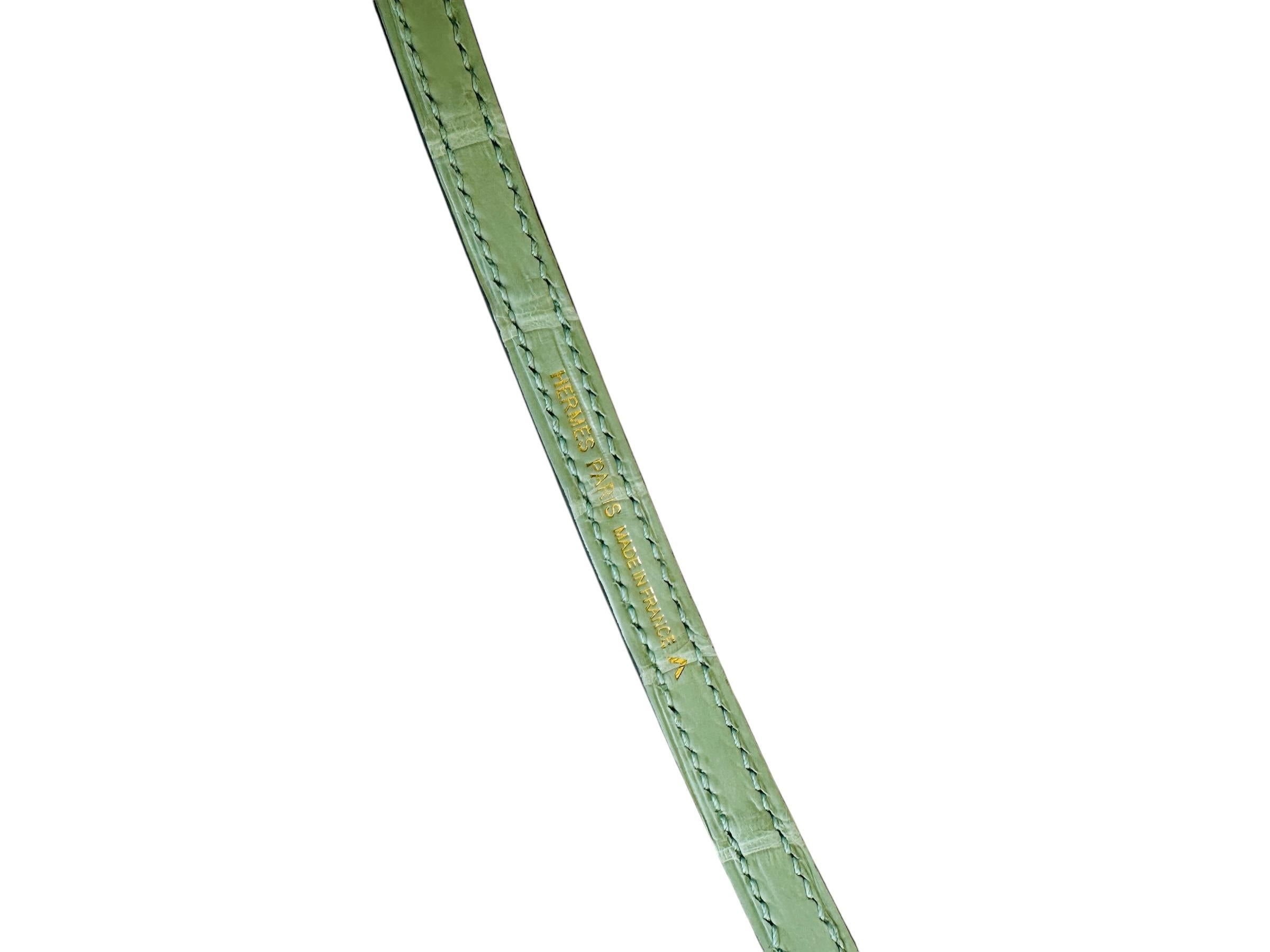 Hermès Kelly Sellier 20 Vert D'eau Porosus Mate Cocodrilo Herrajes de Oro 6