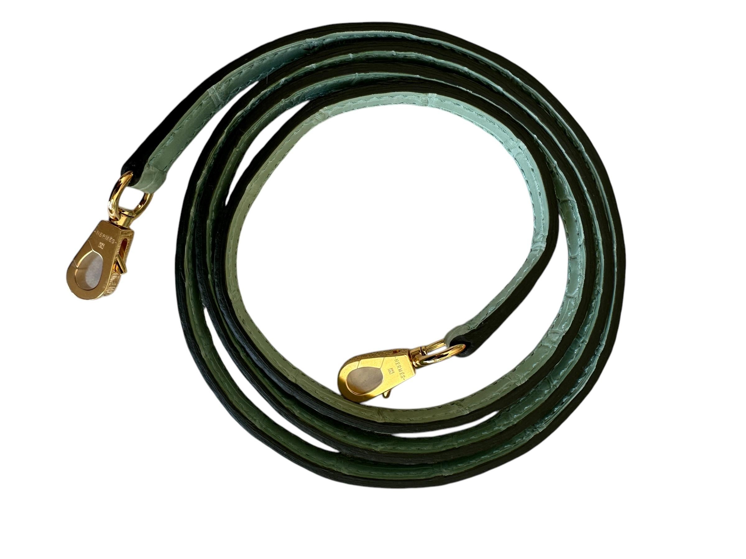 Hermès Kelly Sellier 20 Vert D'eau Porosus Mate Cocodrilo Herrajes de Oro 7