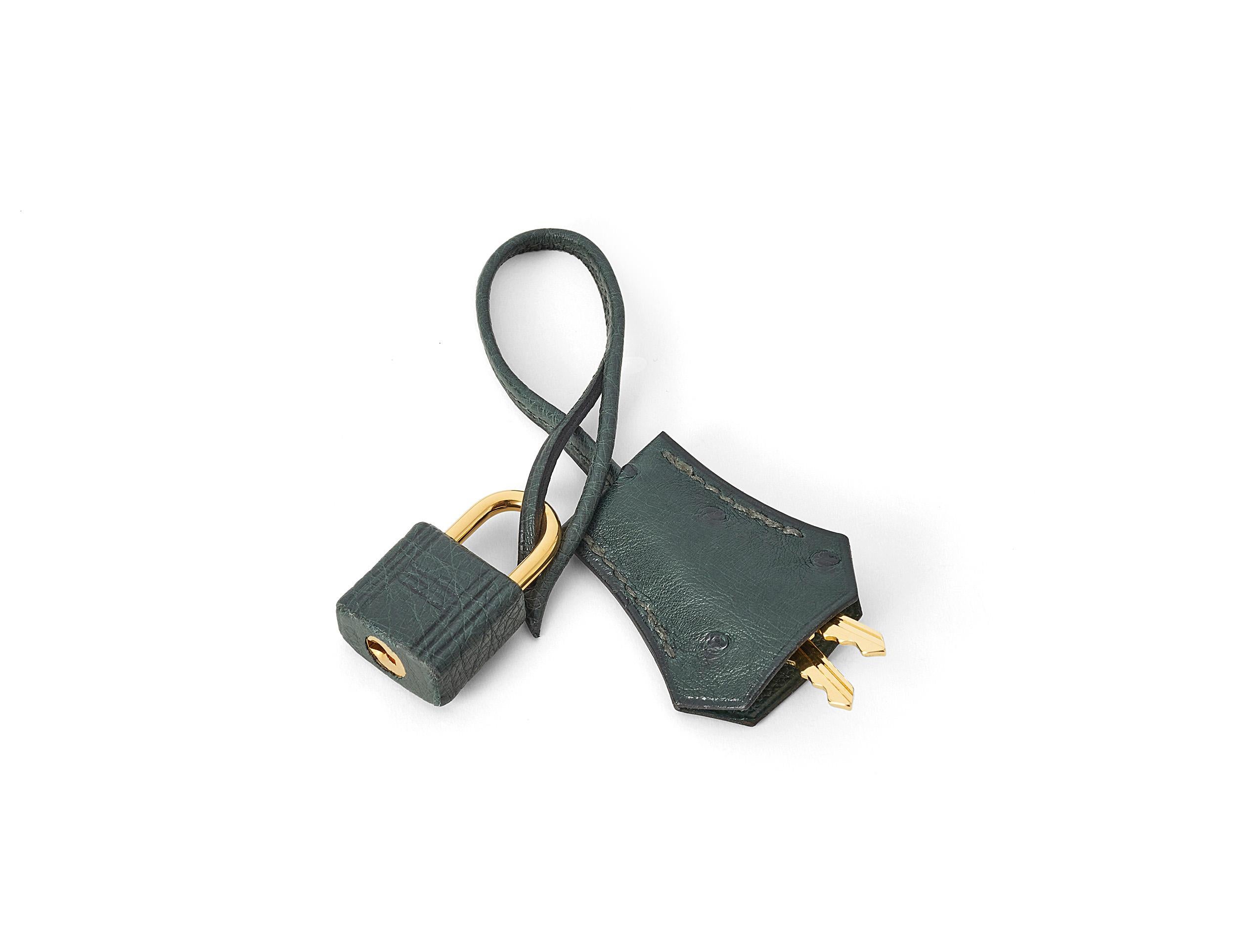 Hermès Kelly Sellier 25 Vert Titien Ostrich Gold Hardware en vente 5