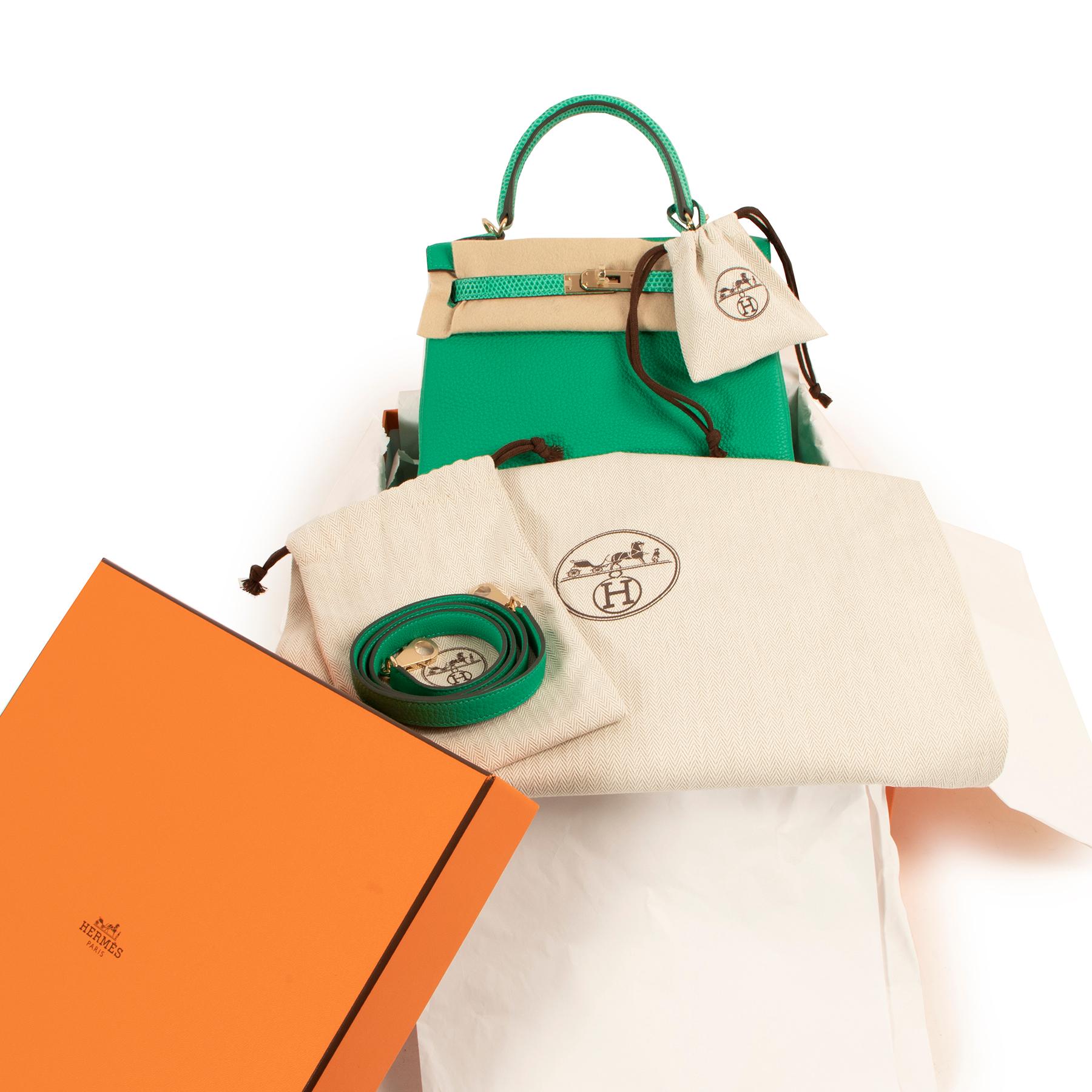 Hermès Kelly Touch 25 Vert Menthe Lezard/Togo Permabrass Hardware

This exclusive Hermès Kelly 25 Touch is is one of these true collector's items. It's handmade from precious Lizard skin leather and Togo calfskin leather, creating an exotic touch