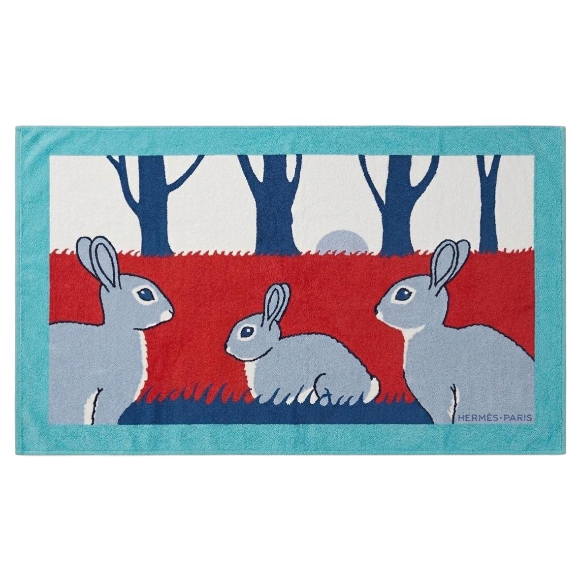 Hermes Lapins Terry Strandtuch