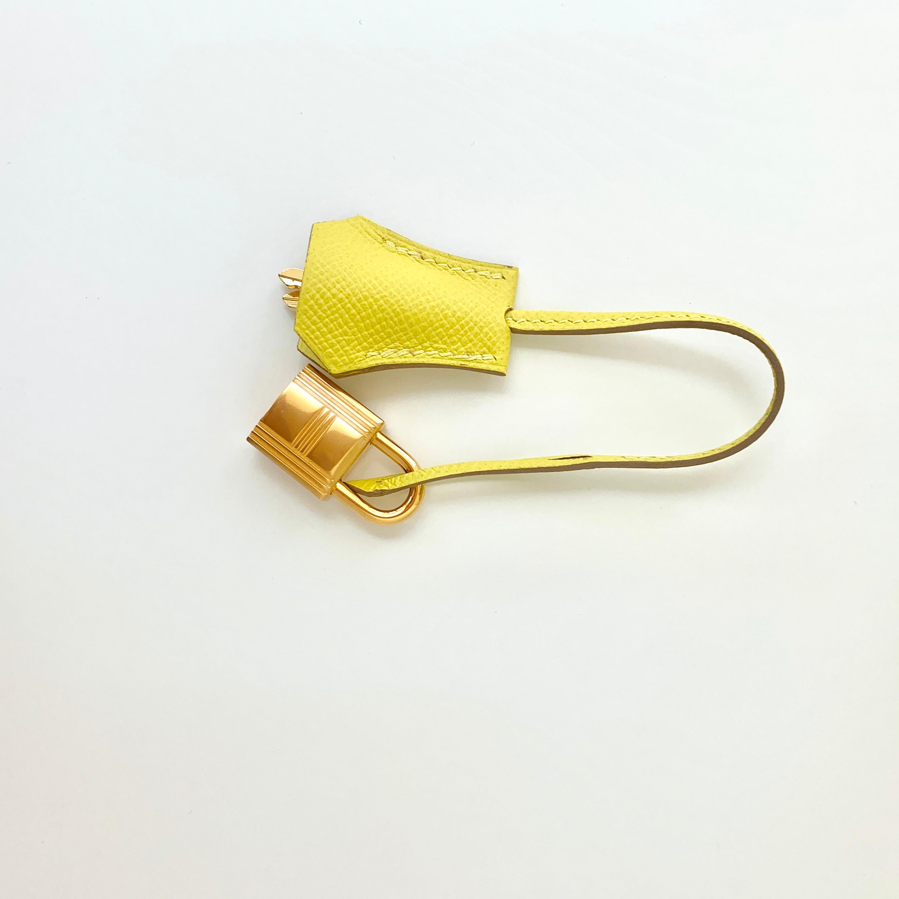 Women's or Men's Hermès Lime Kelly 25  Epsom Sellier Gold  Hardware Bag