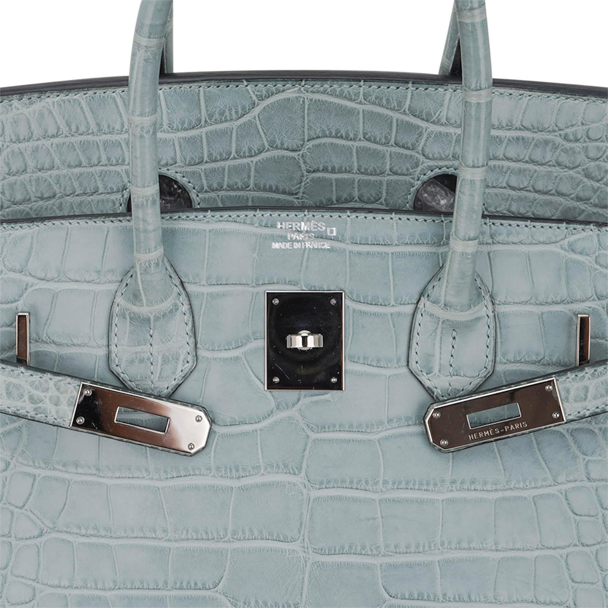 Hermes Limited Edition Birkin 35 Bag Ciel Matte Alligator with Palladium Hardwar Pour femmes en vente