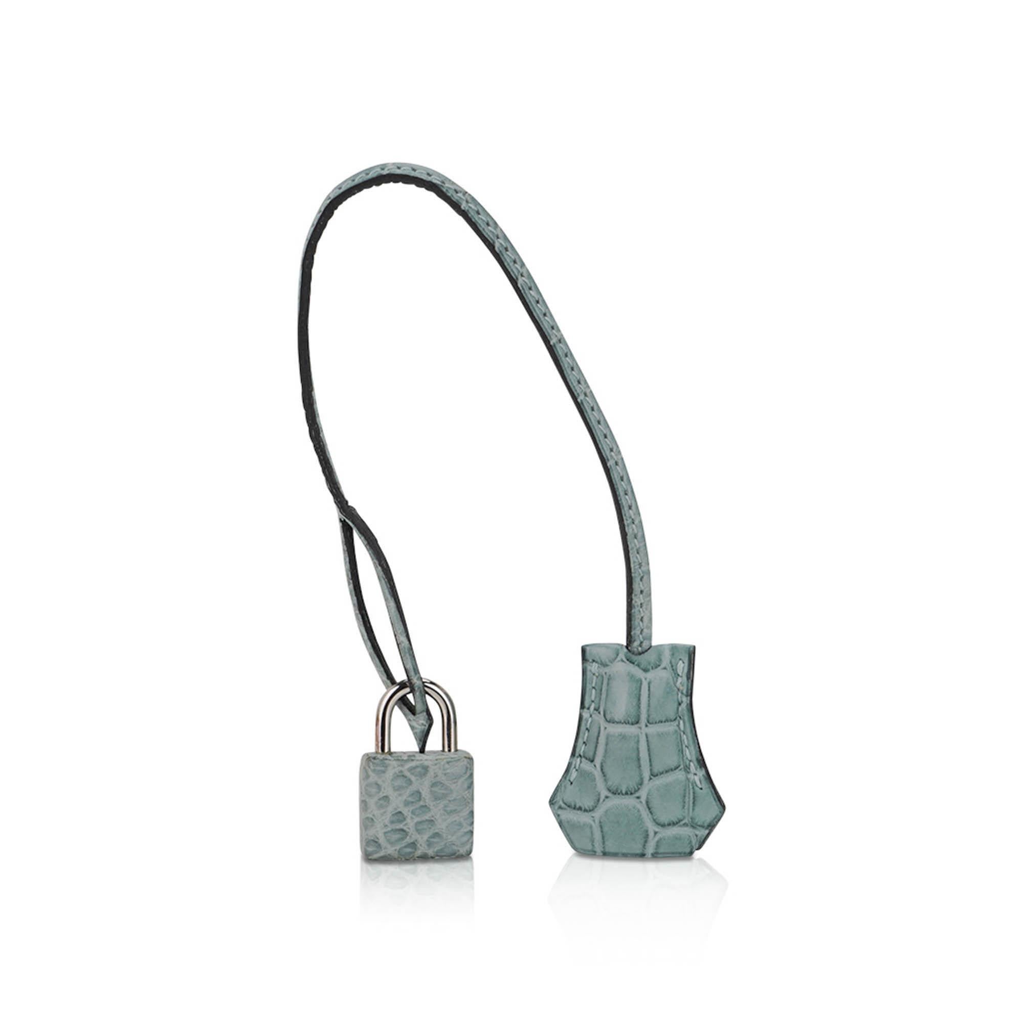 Hermes Limited Edition Birkin 35 Bag Ciel Matte Alligator with Palladium Hardwar en vente 4