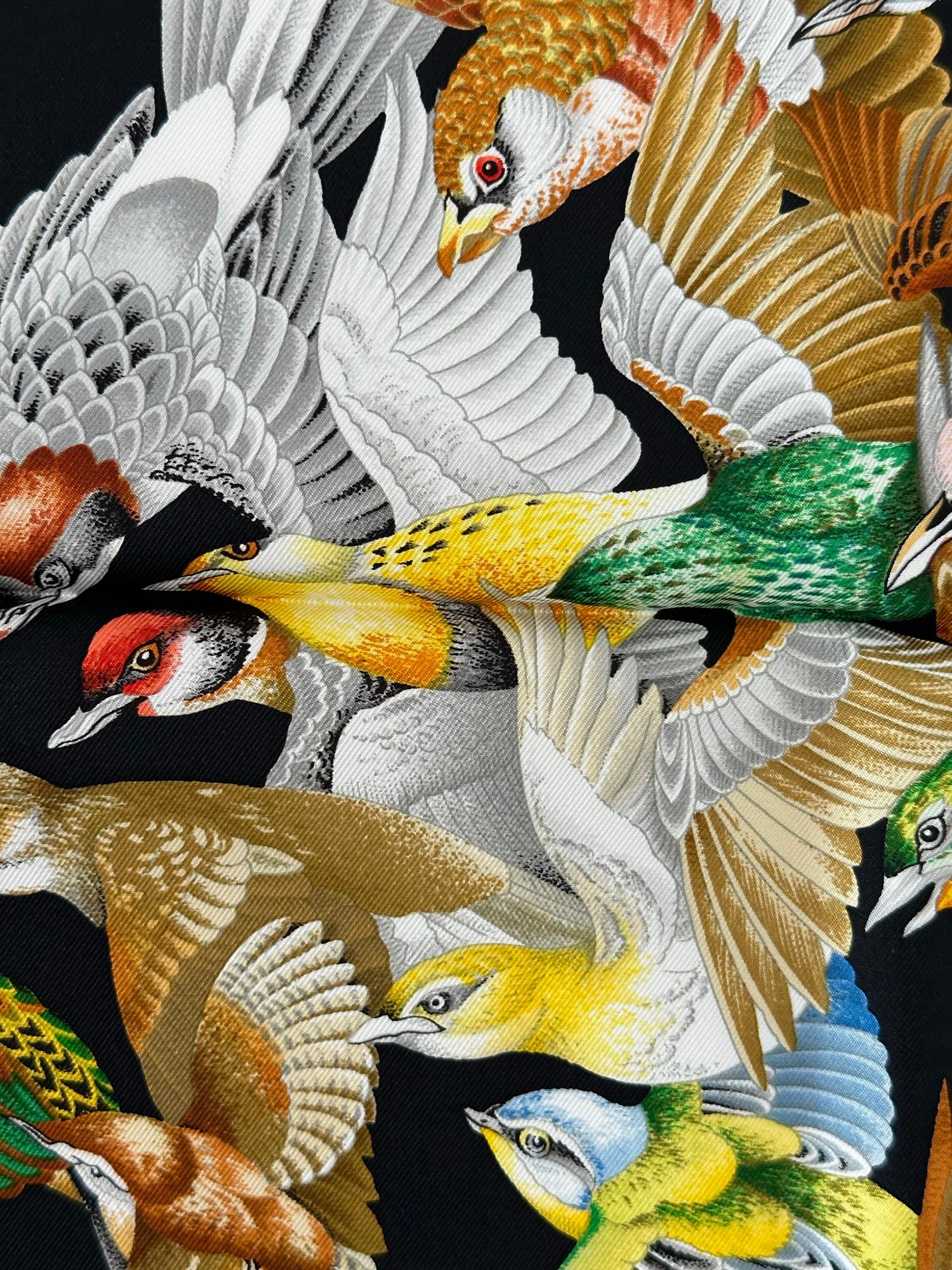  Hermès l’Intrus by Antoine de Jacquelot, silk twill scarf on a black ground with flocks of amazingly illustrated birds. First issued in 1996, this striking scarf showcases various varieties of birds. Centered is, 'the intruder' the noble falcon.