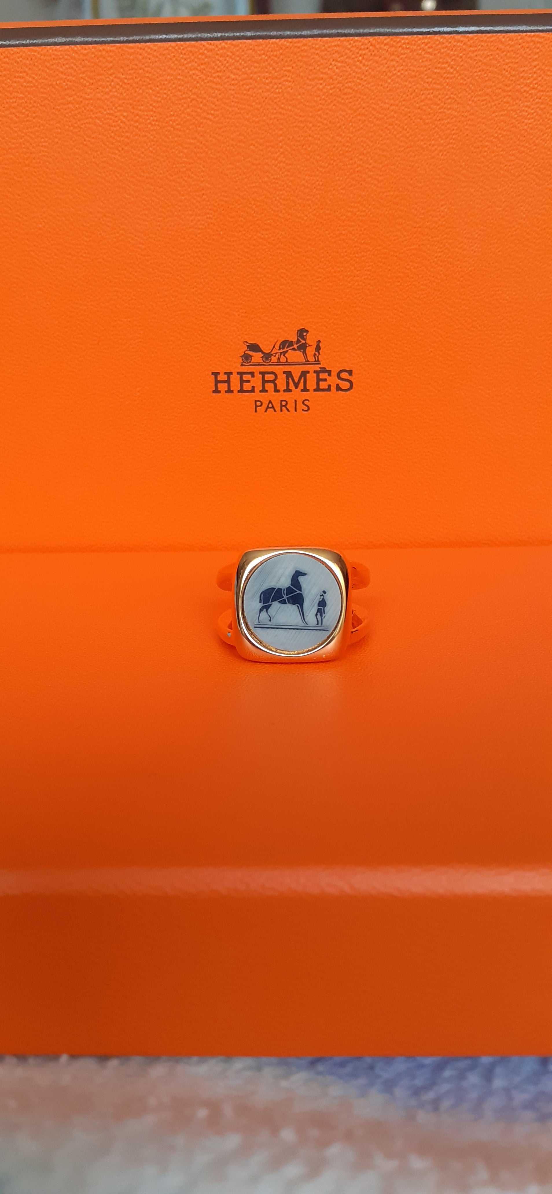 Lovely and Rare Authentic Hermès Ring

For both mena and women

Signet ring style

Print: Horse and Rider

Made of corozo (palm tree nut) and non precious metal

Colorways: Golden, Grey and Navy

Ring with 2 rows meeting at the back

