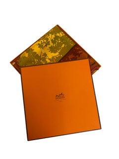Hermes Marche Flottant du Lac Inle Silk Scarf - 90cm. With box