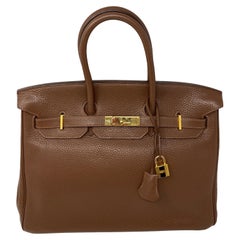 Hermes Maroon D'Inde Birkin 35 Bag