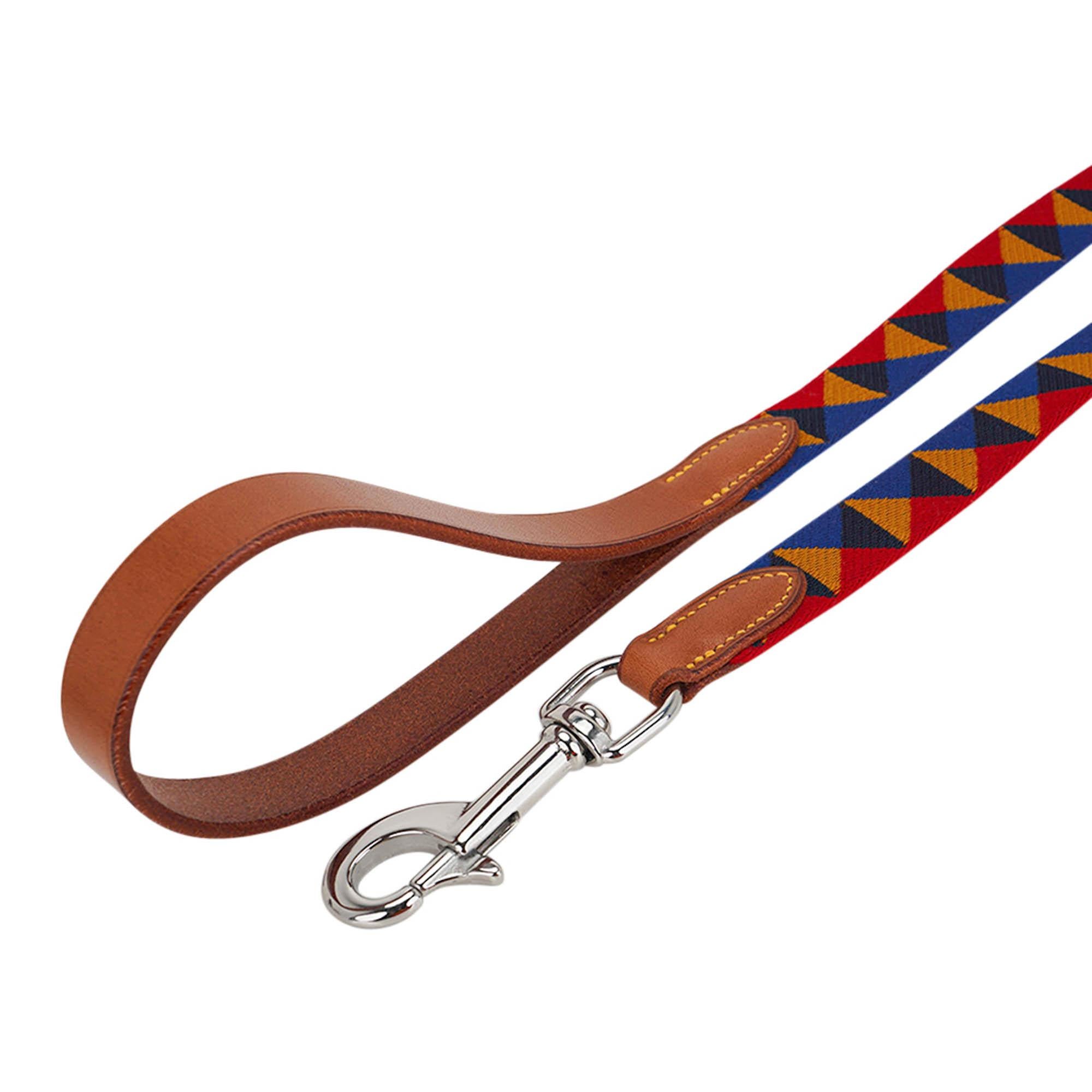 Hermes Medor Dog Collar and Medor Slim Lead Medium Model Set For Sale 1
