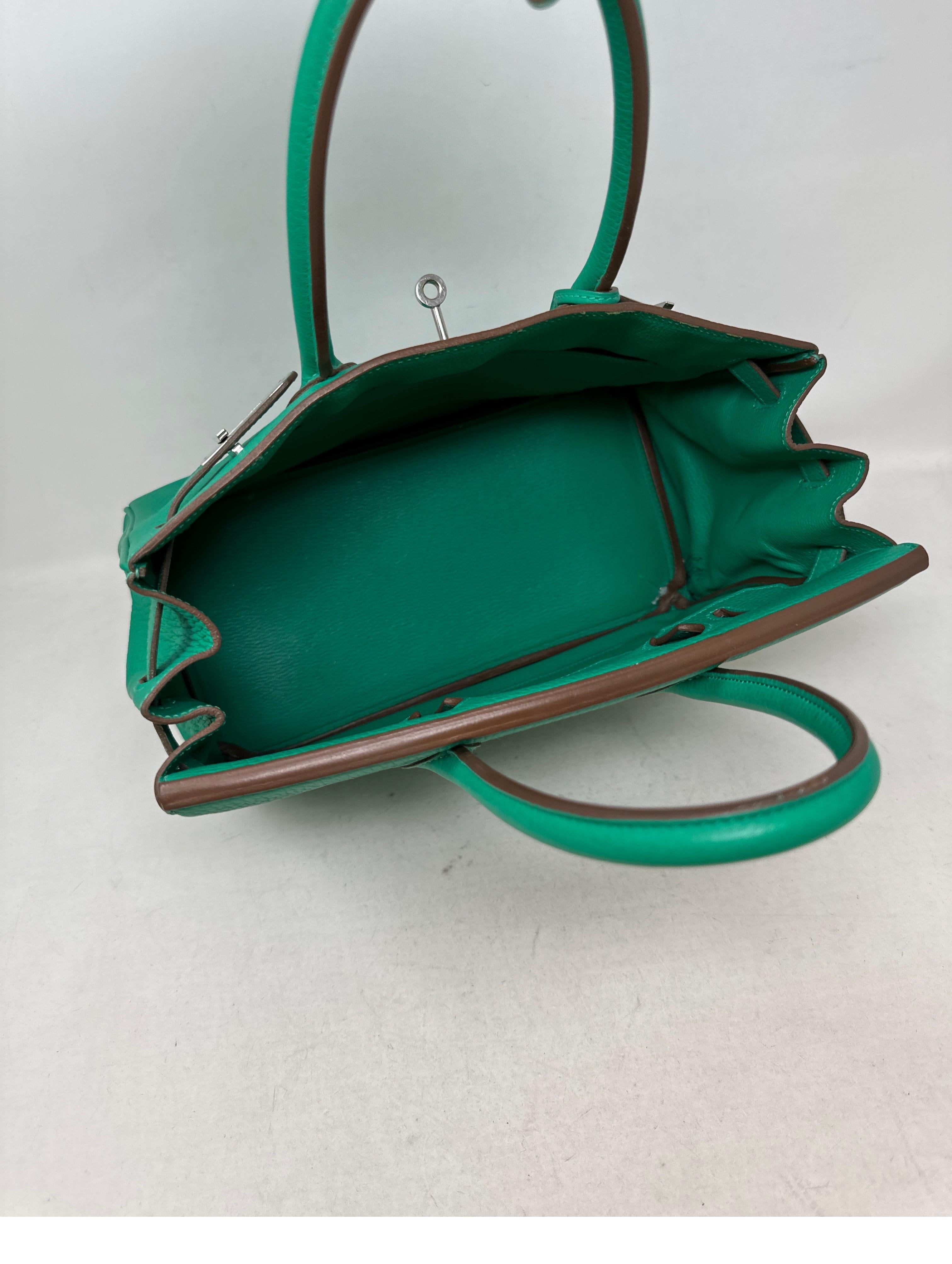 Hermes Menthe Birkin 30 Bag 4