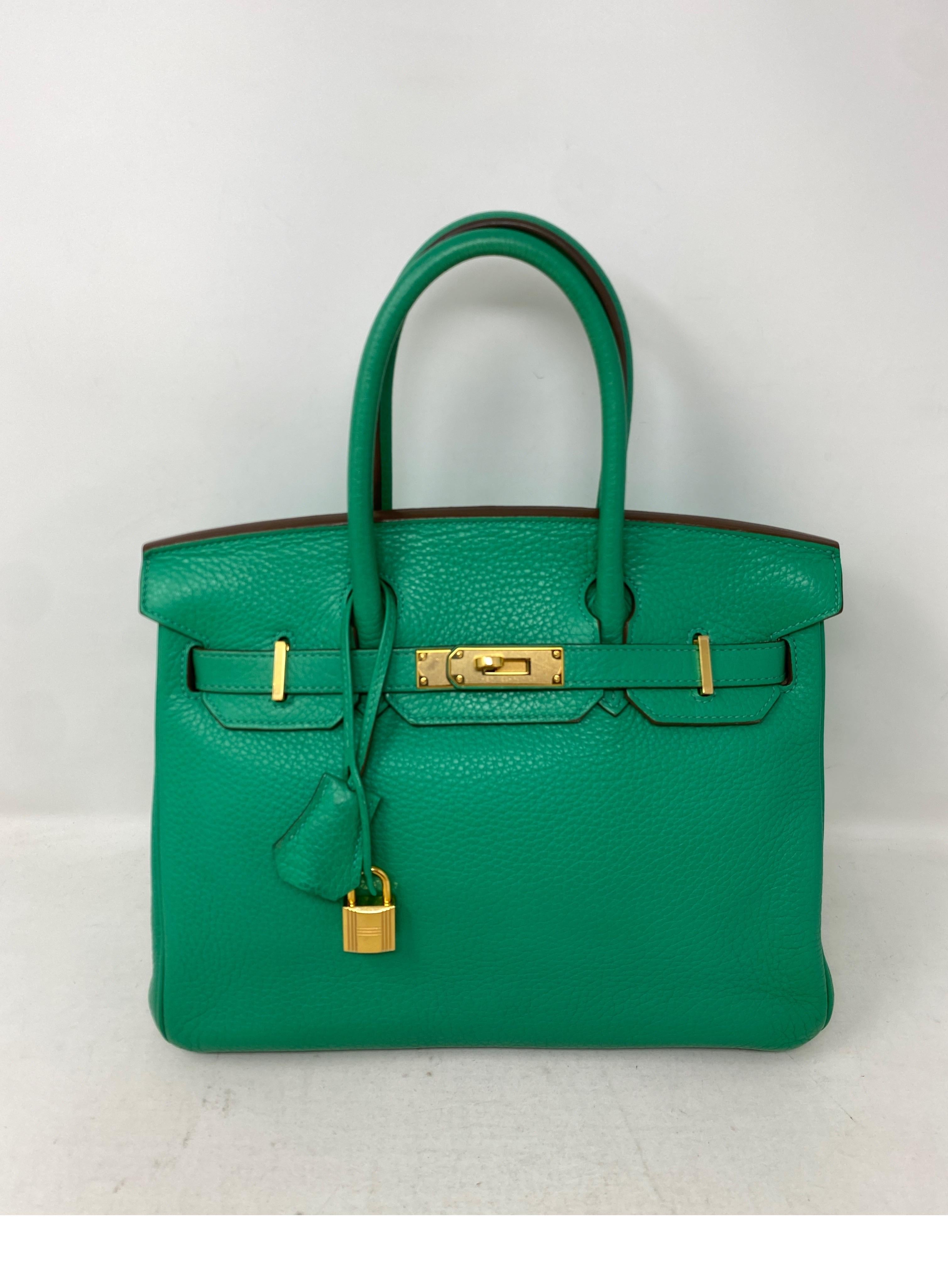 Hermes Menthe Birkin 30 Bag  8