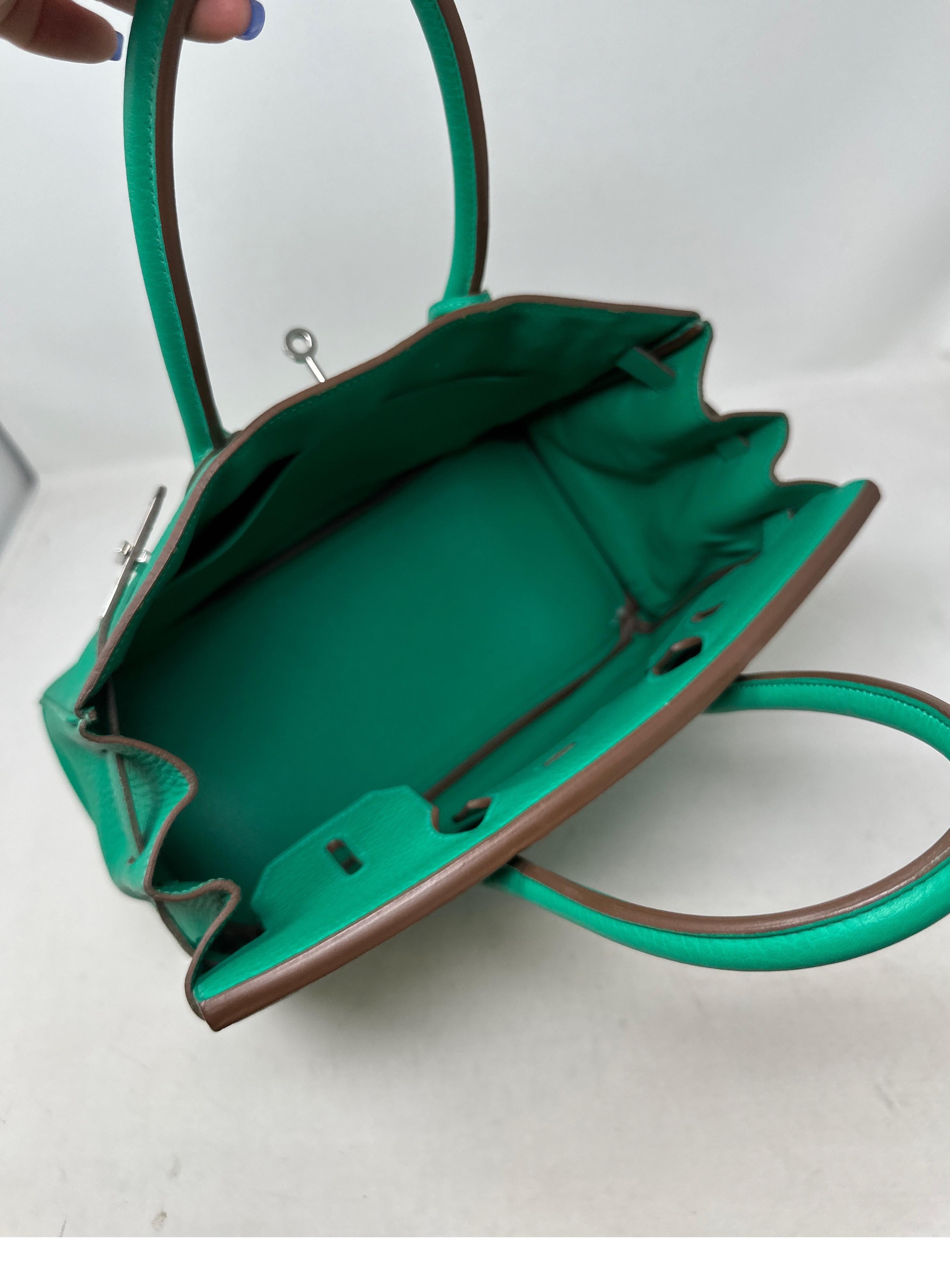 Hermes Menthe Birkin 30 Bag 9