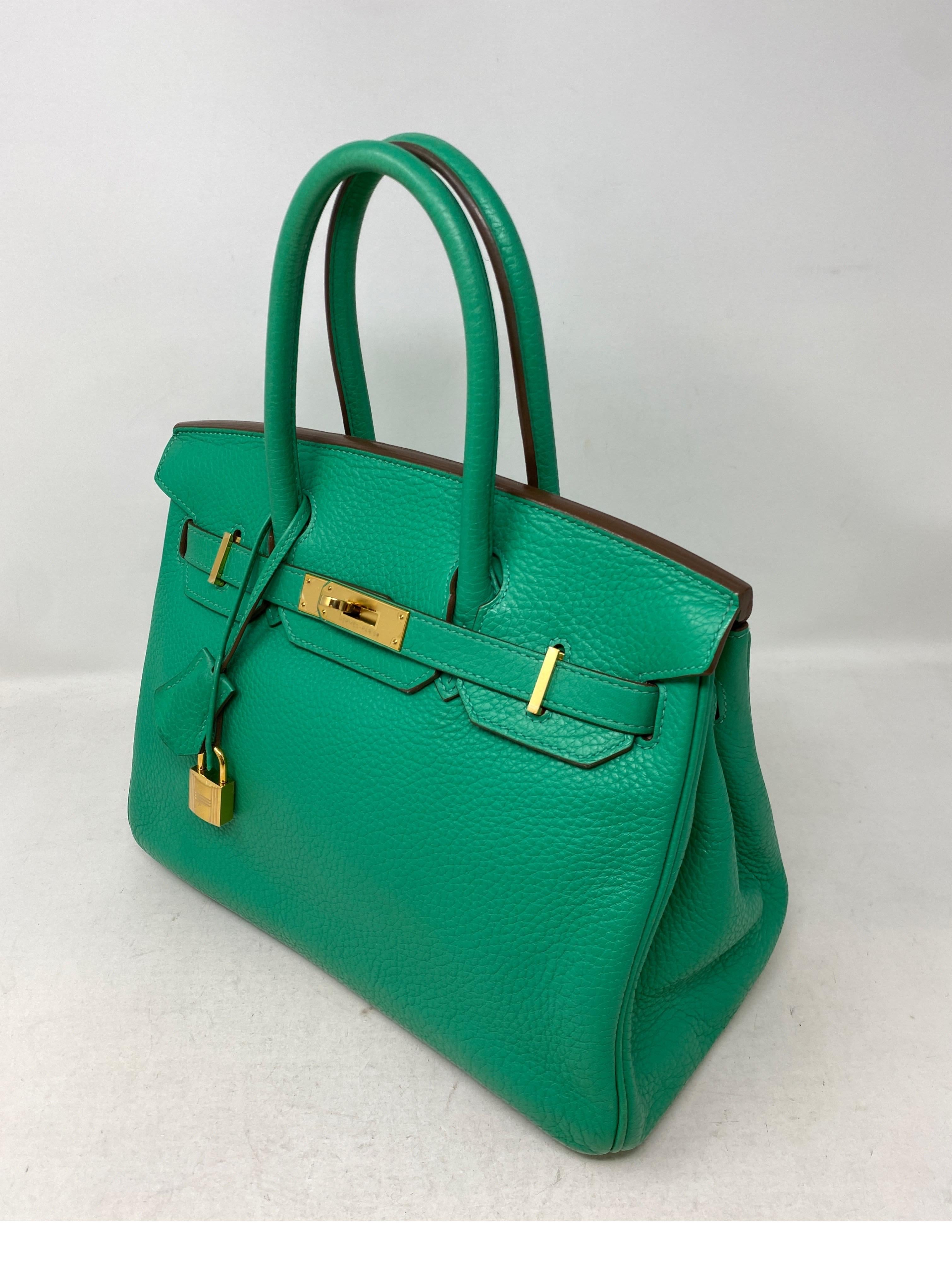 Hermes Menthe Birkin 30 Bag  10