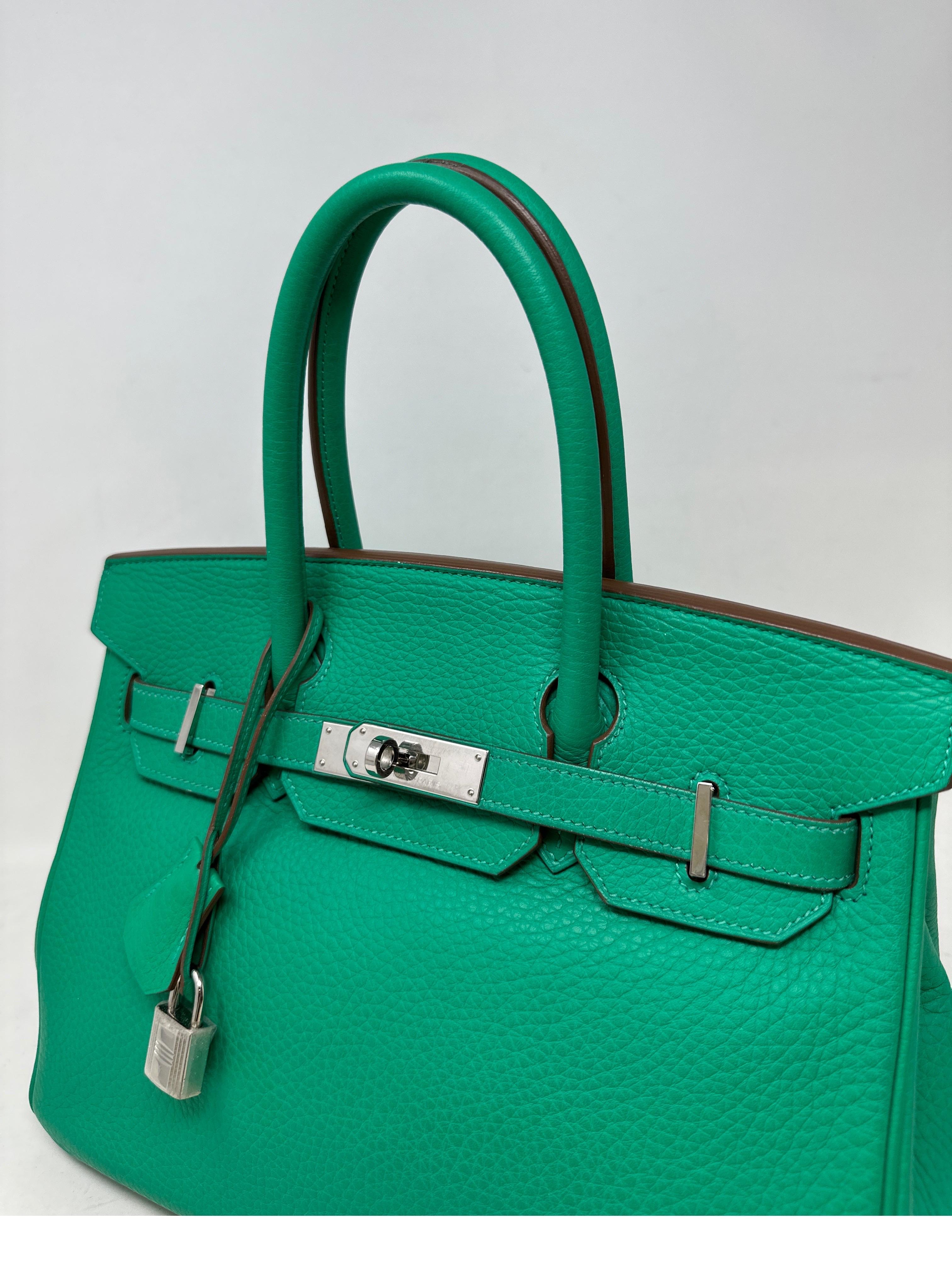 Hermes Menthe Birkin 30 Bag 8