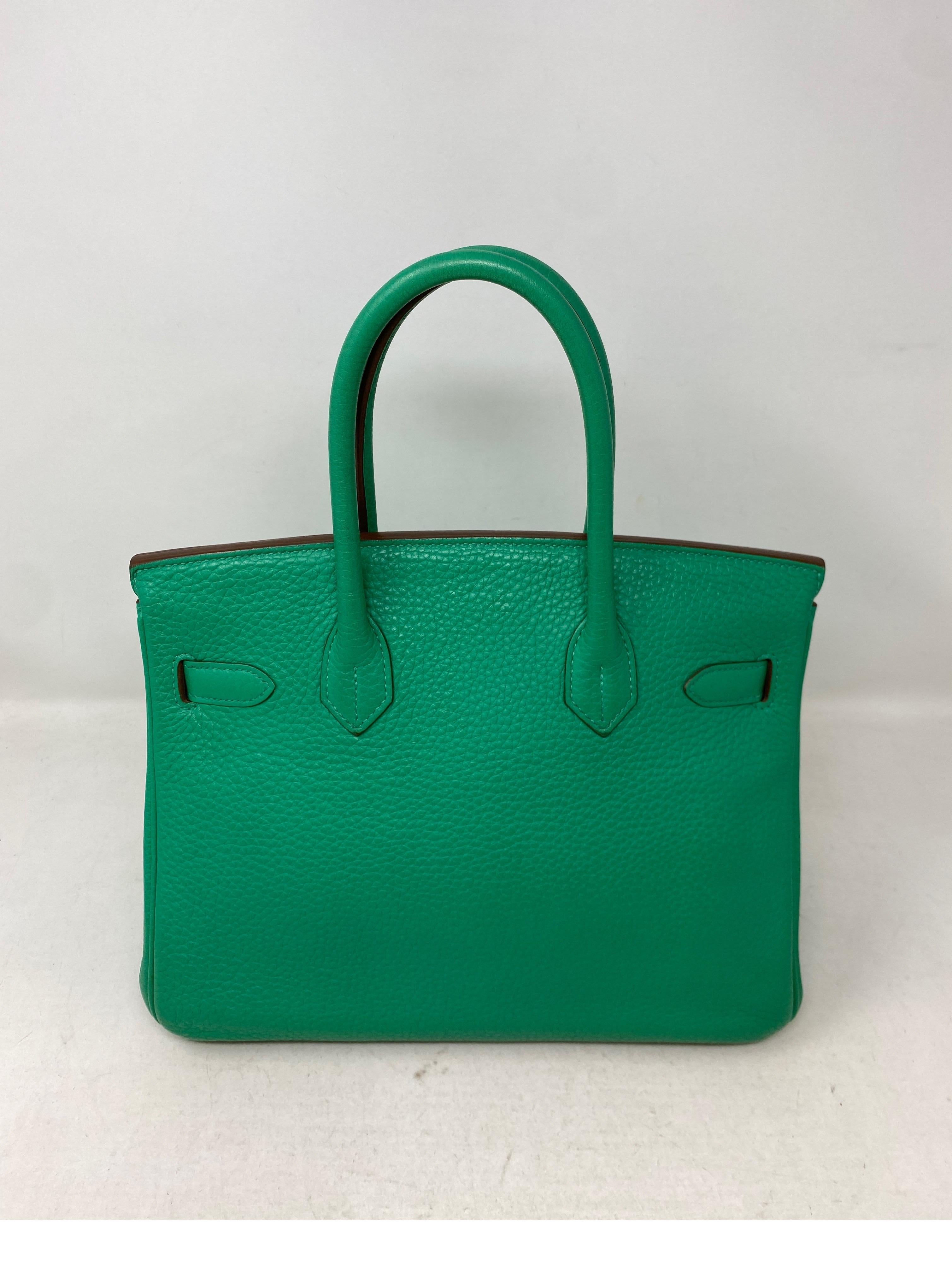 Hermes Menthe Birkin 30 Bag  13