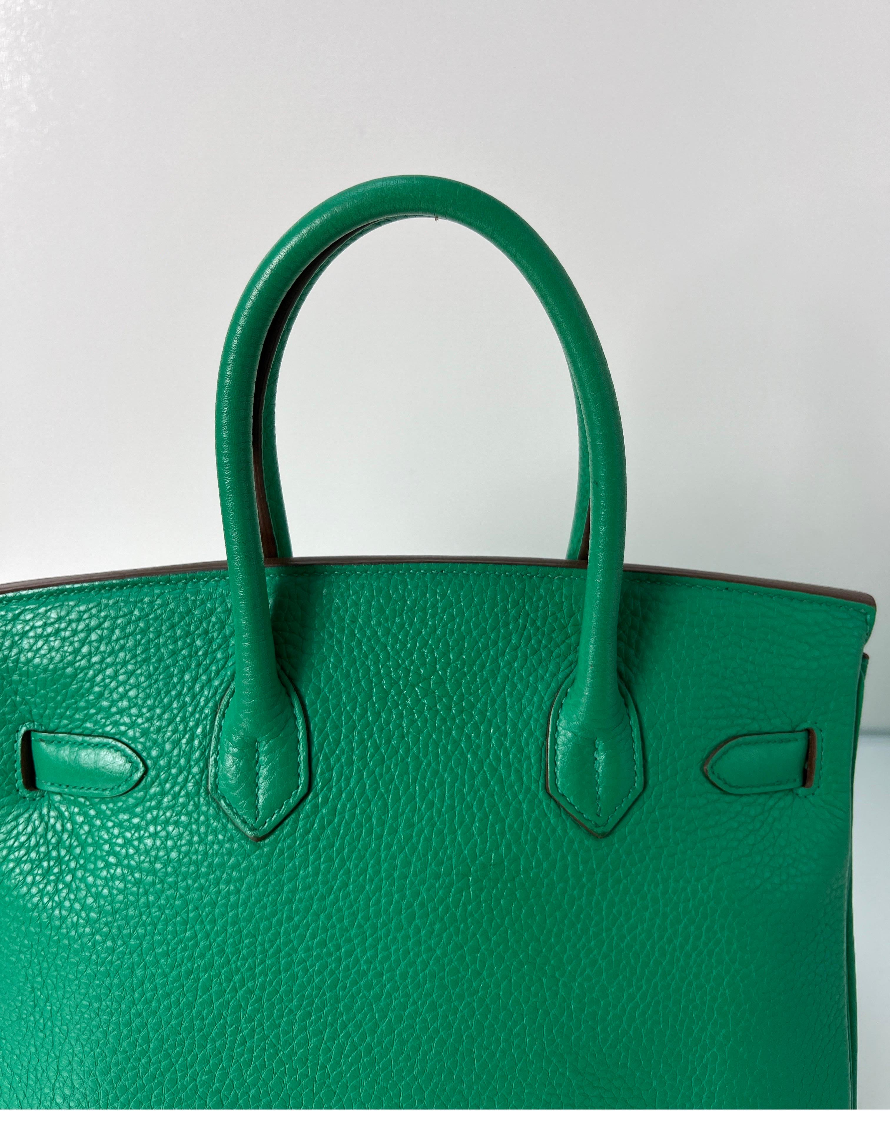 Hermes Menthe Birkin 30 Bag For Sale 13