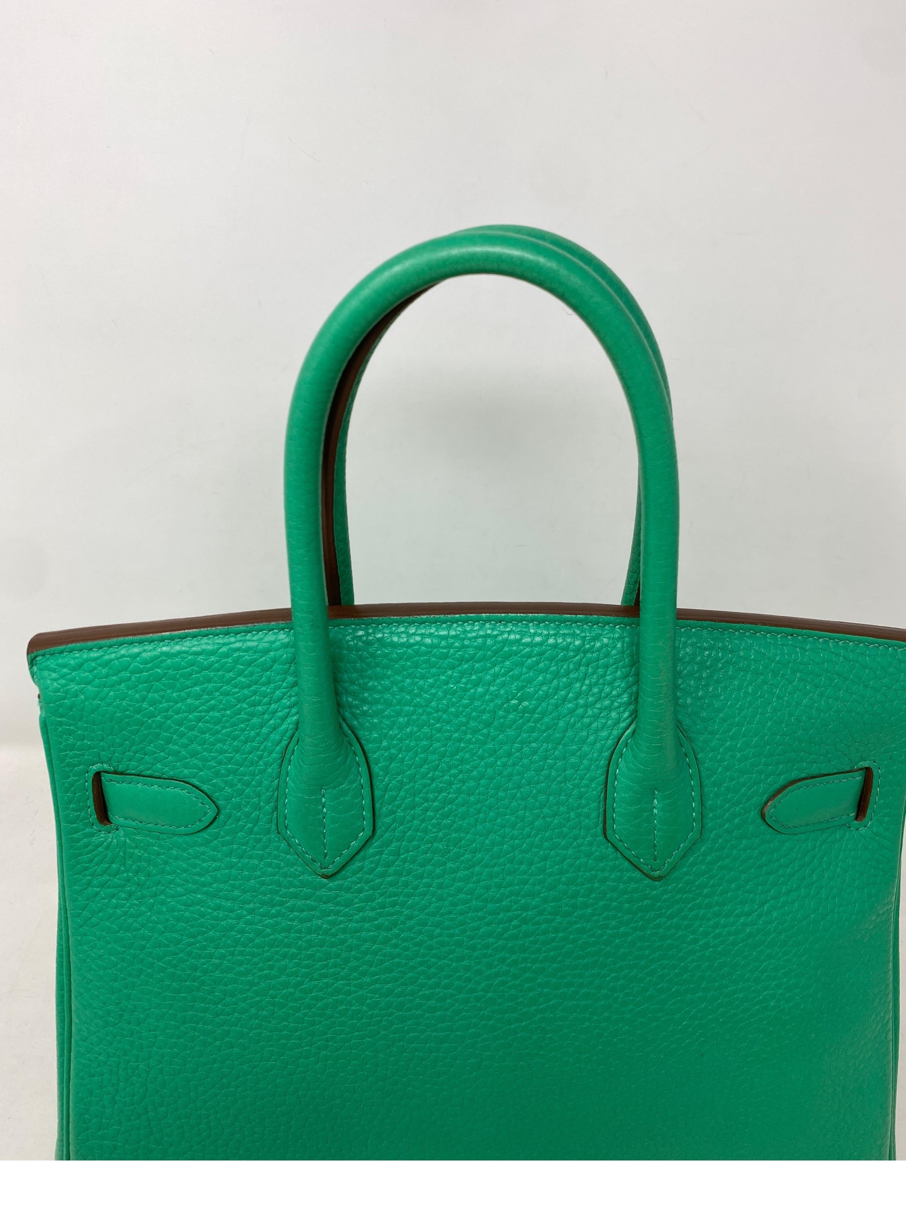 Hermes Menthe Birkin 30 Bag  14