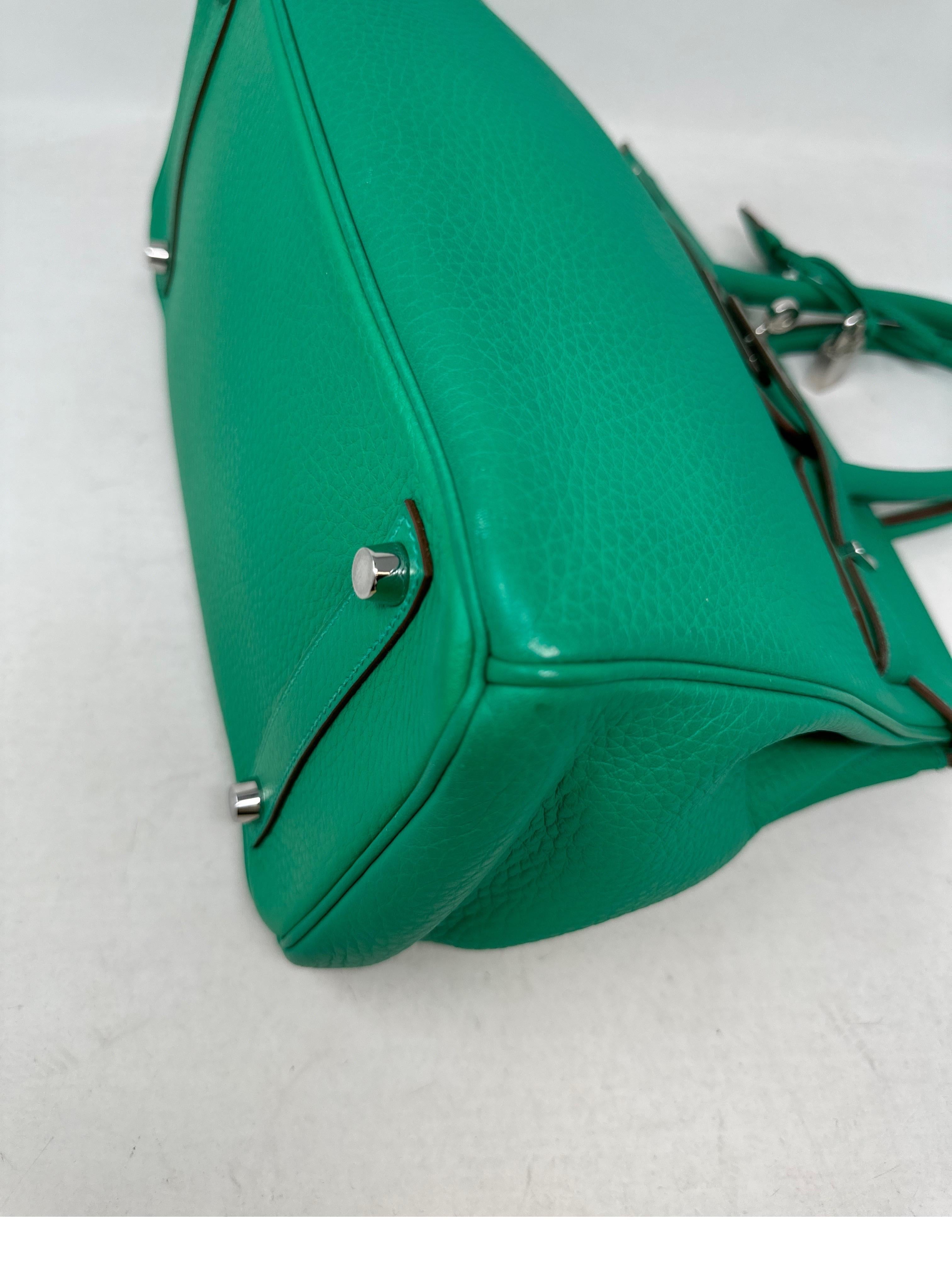 Hermes Menthe Birkin 30 Bag 12