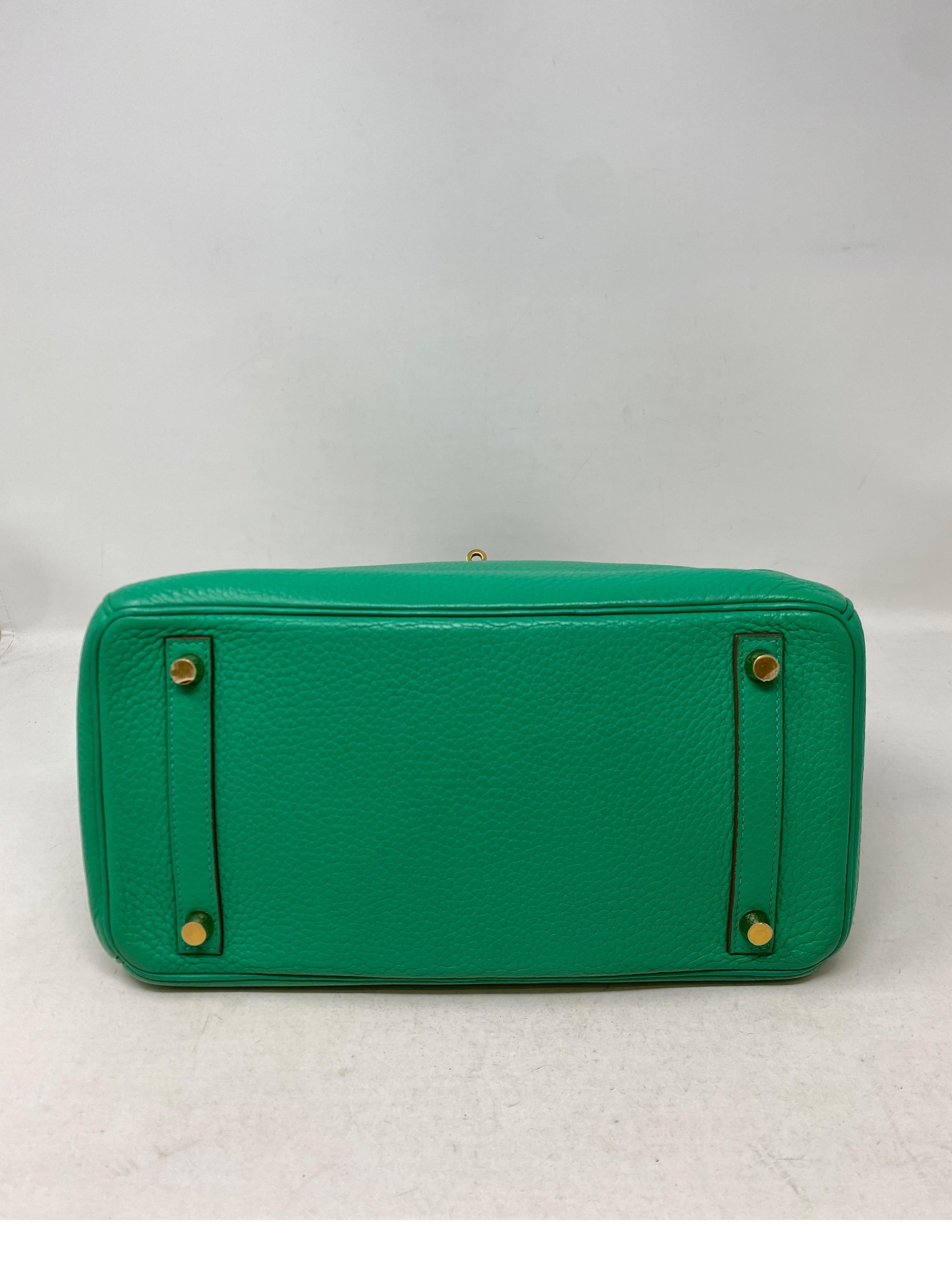 Hermes Menthe Birkin 30 Bag  1