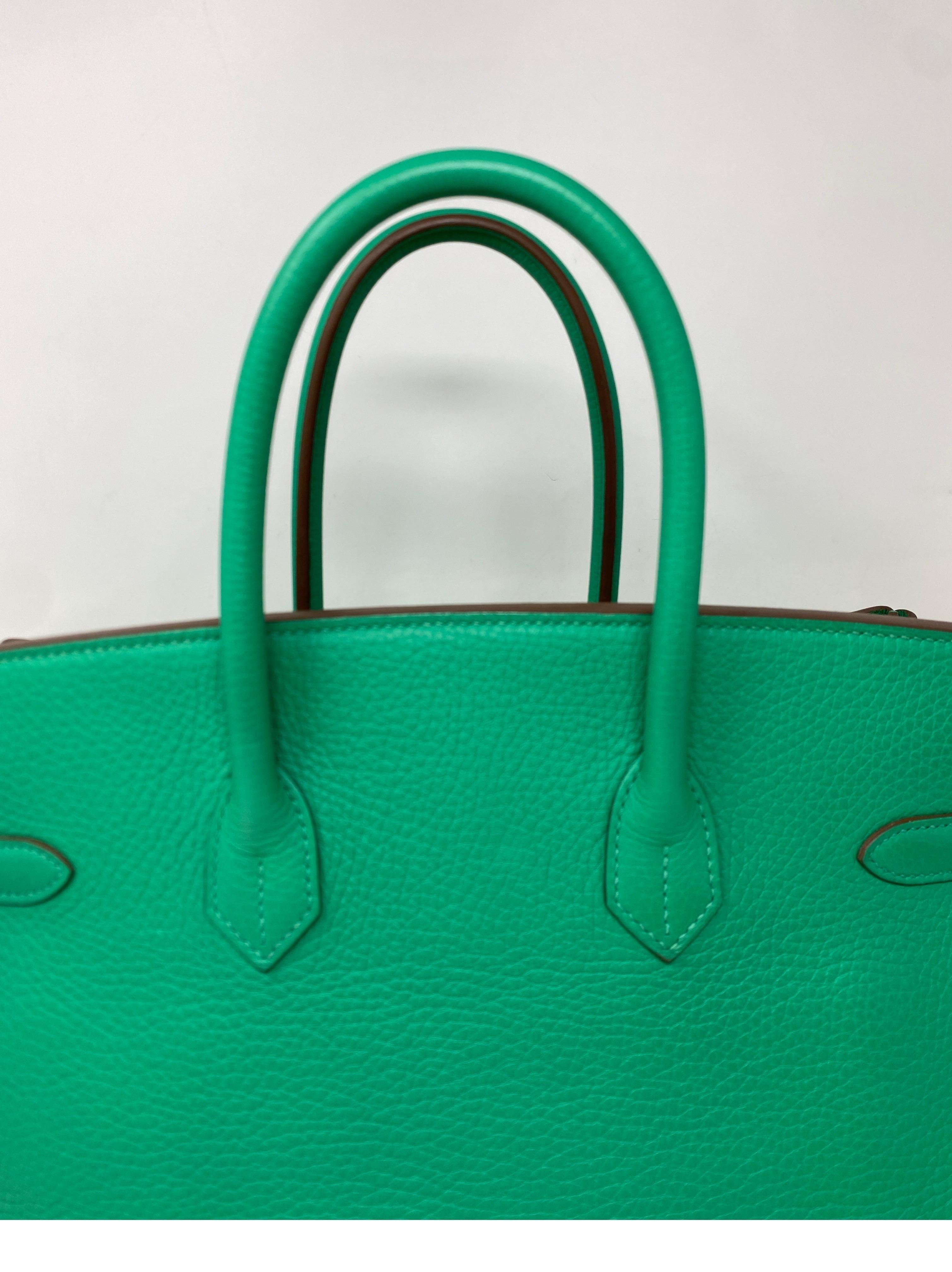 Hermes Menthe Birkin 35 Bag  6