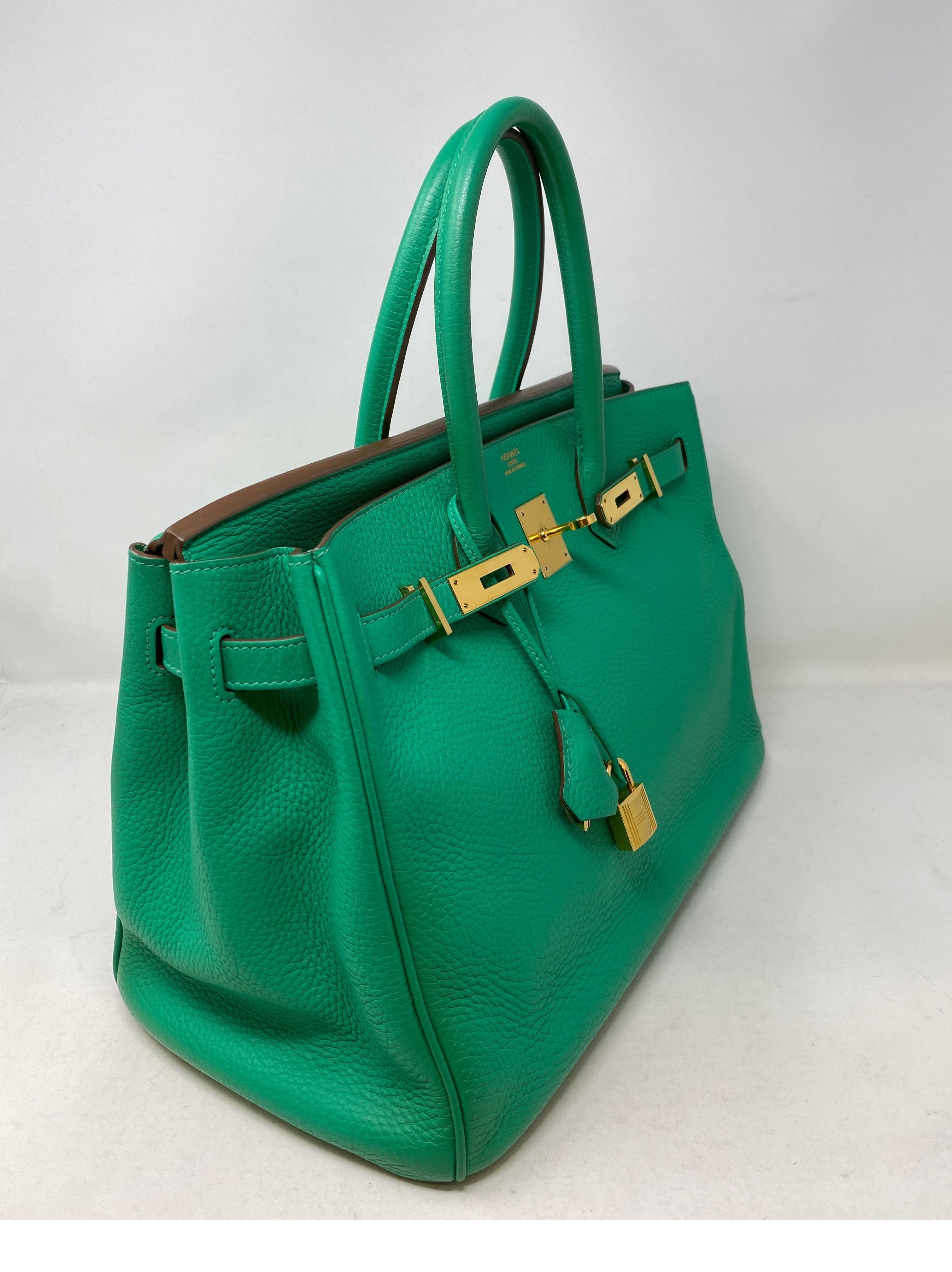 birkin menthe