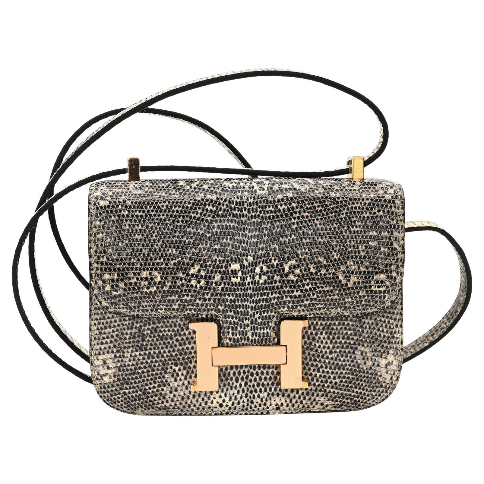 Hermès Natural Ombre Lizard Leather HSS Horizon Special Order Constance 14 For Sale
