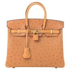 Hermes Birkin 25 Special order Ostrich rose tyrien and bluete Brushed gold  hardware – Ruelamode