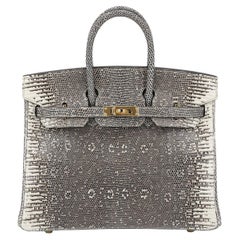 HERMES NEW Birkin 25 Ombre Lizard Exotic Skin Gold HW Top Handle Tote Bag