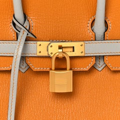 HERMES NEW Birkin 25 Orange Gray Chevre Mysore Horseshoe Top Handle Tote Bag