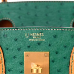 HERMÈS NEW Birkin 30 Tan Green Ostrich Exotic Gold Hardware Top Handle Tote Bag
