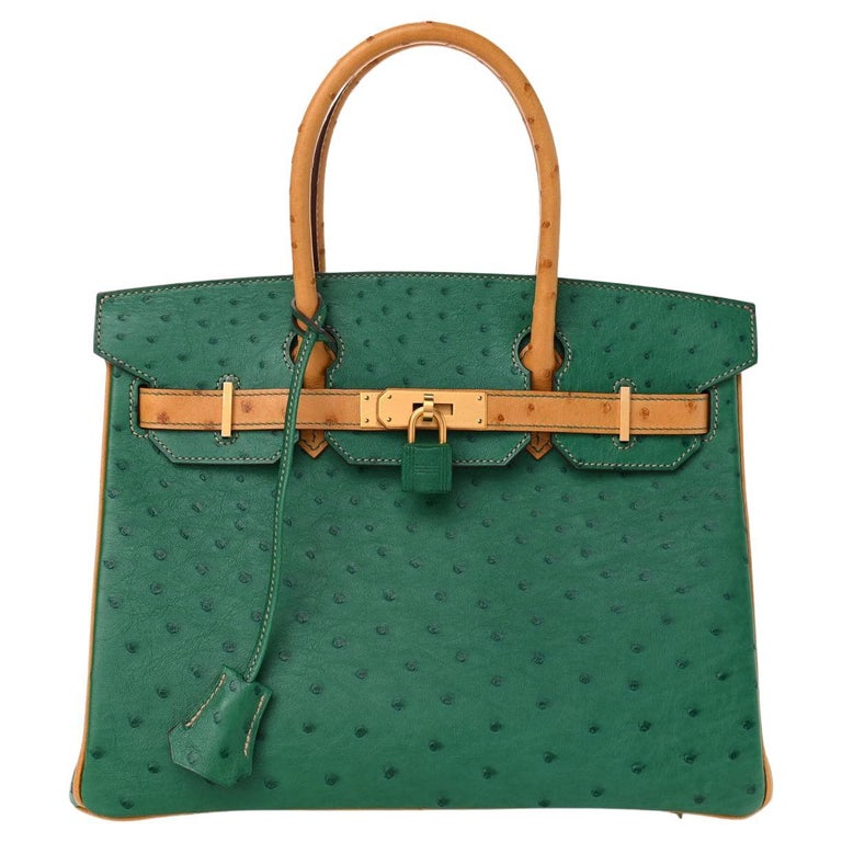 HERMÈS NEW Birkin 30 Tan Green Ostrich Exotic Gold Hardware Top Handle Tote  Bag at 1stDibs | how much is a birkin bag 2022, hermes birkin 30, hermes  birkin handbag price