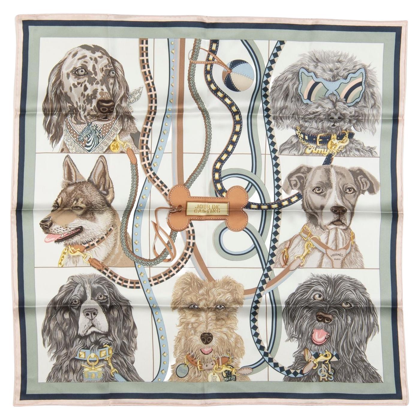 Hermès NIB "Jour de Casting" Scarf im Angebot