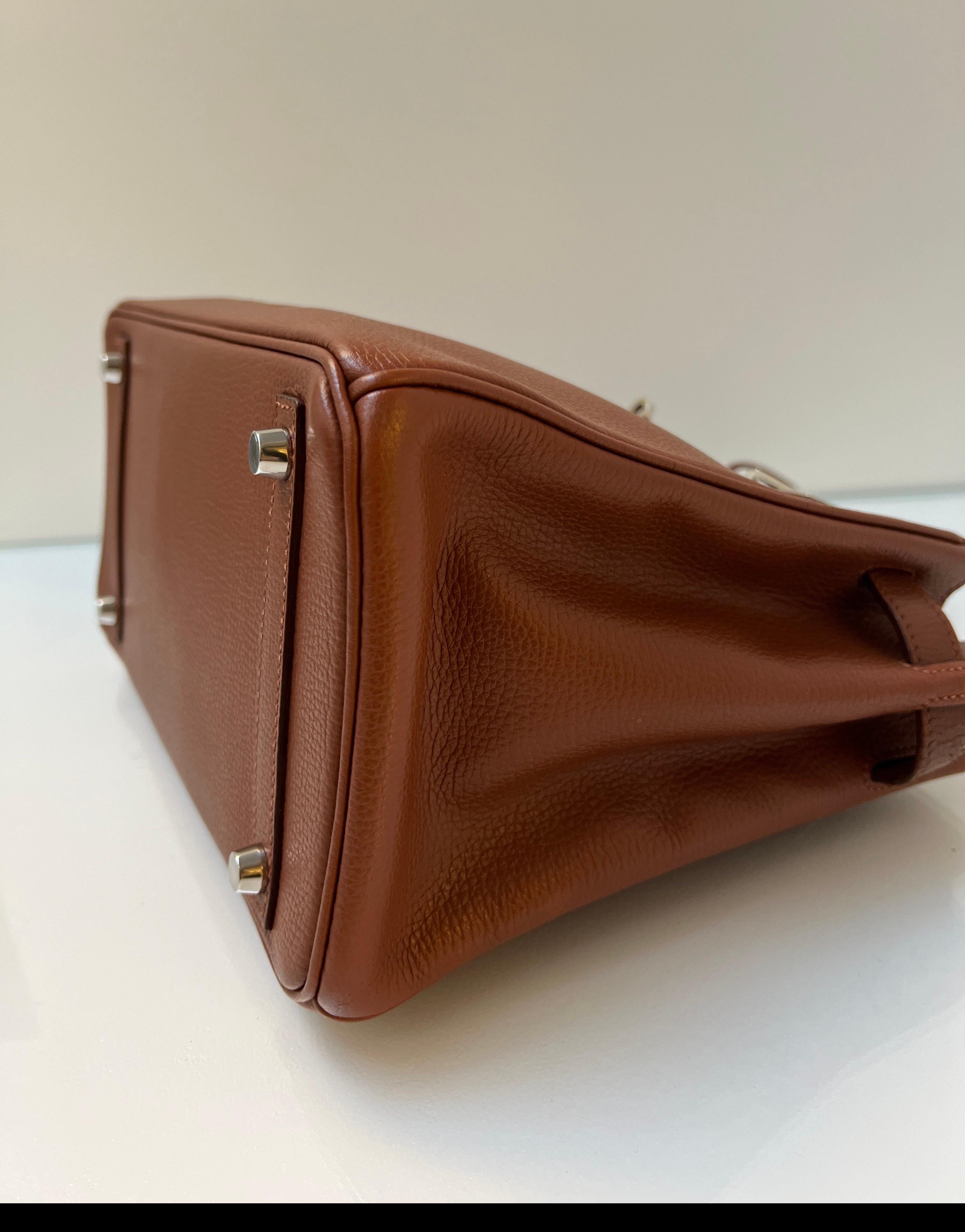 Hermes Noisette Birkin 30 Bag 6