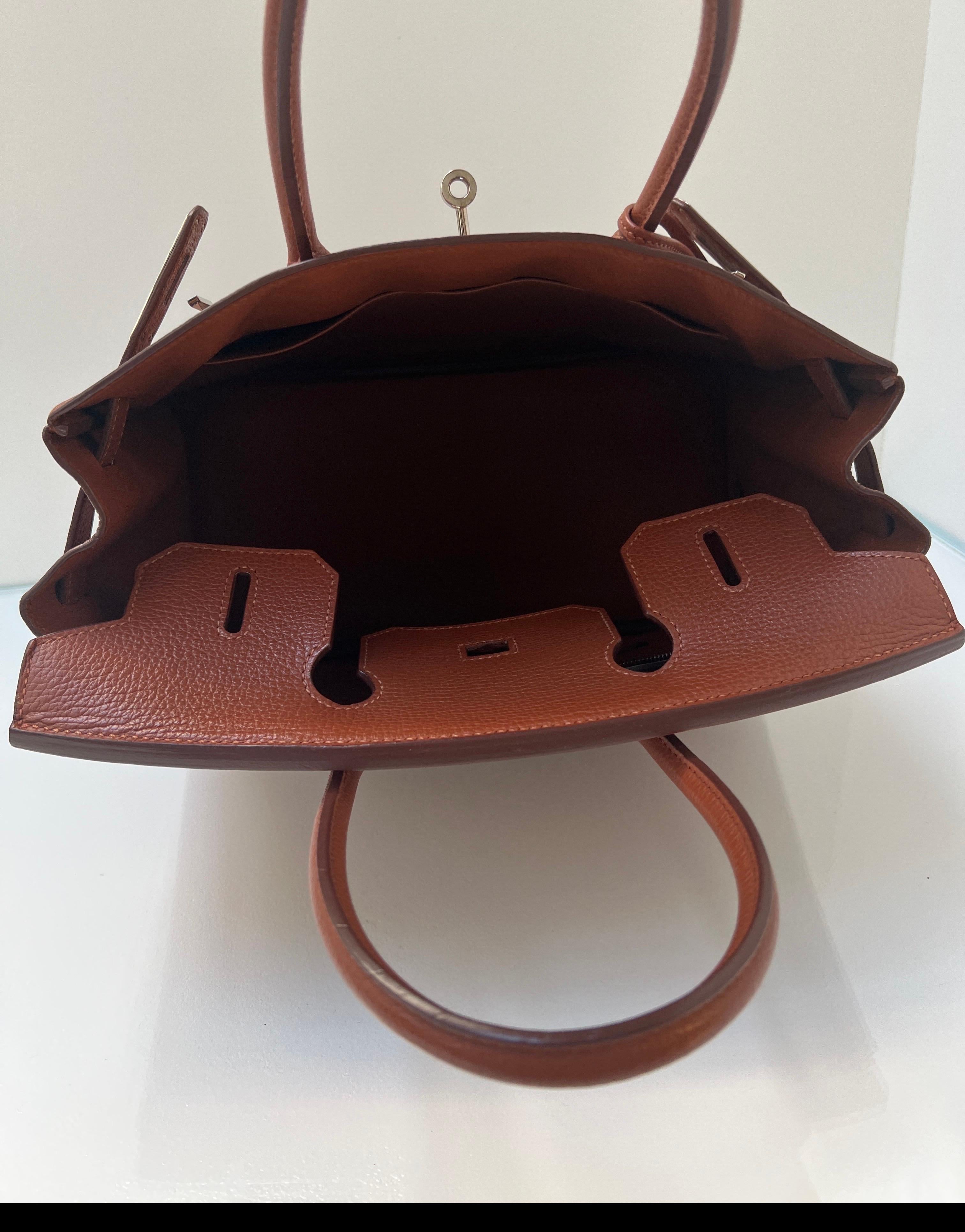 Hermes Noisette Birkin 30 Bag 9