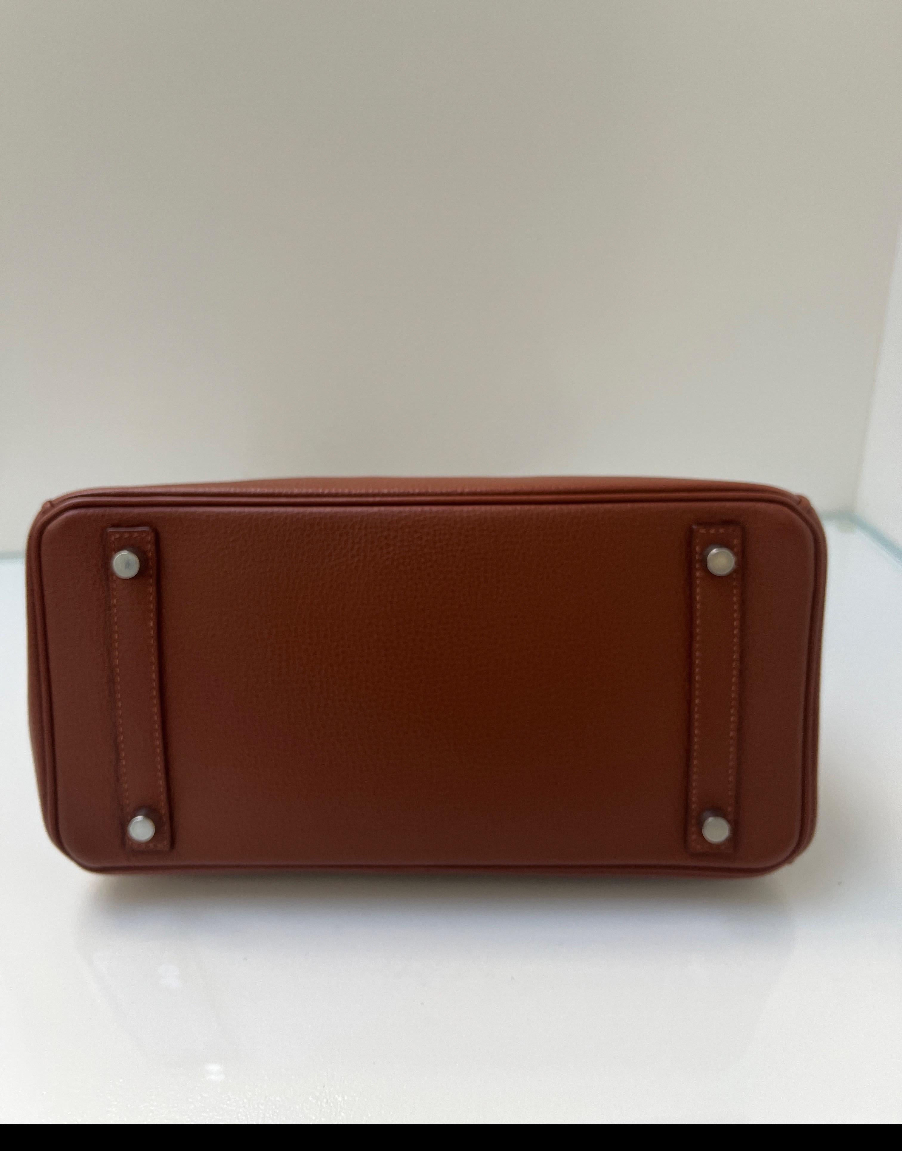 Hermes Noisette Birkin 30 Bag 3