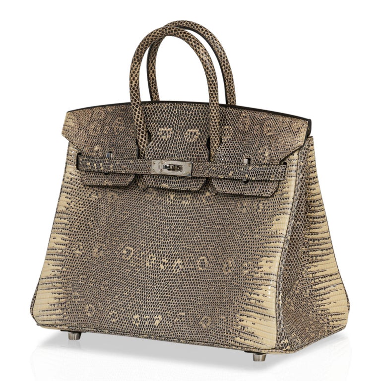 Hermès Birkin 25 Ombre Lizard Palladium Hardware – ZAK BAGS ©️