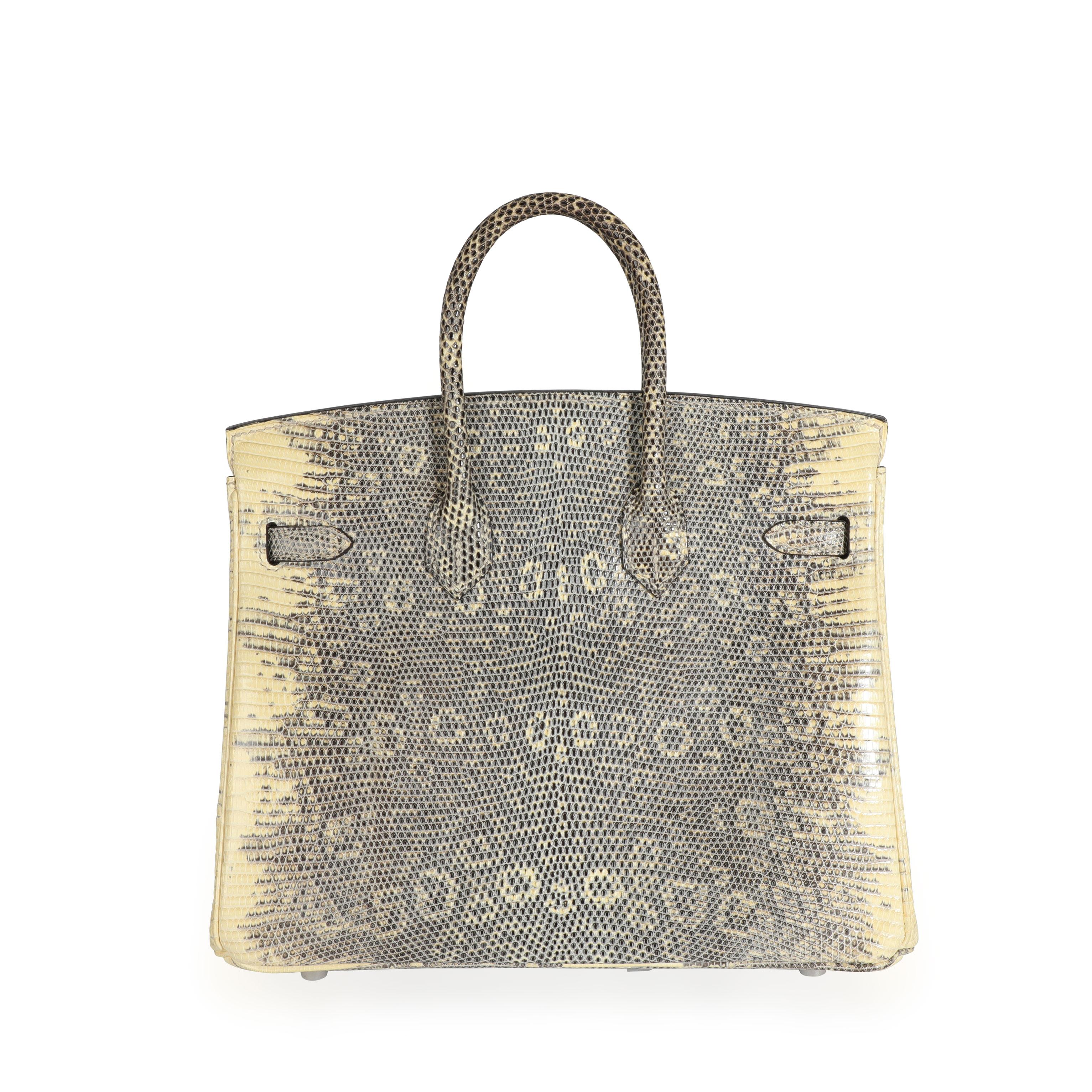 Brown Hermès Ombré Shiny Salvator Lizard Birkin 25 PHW